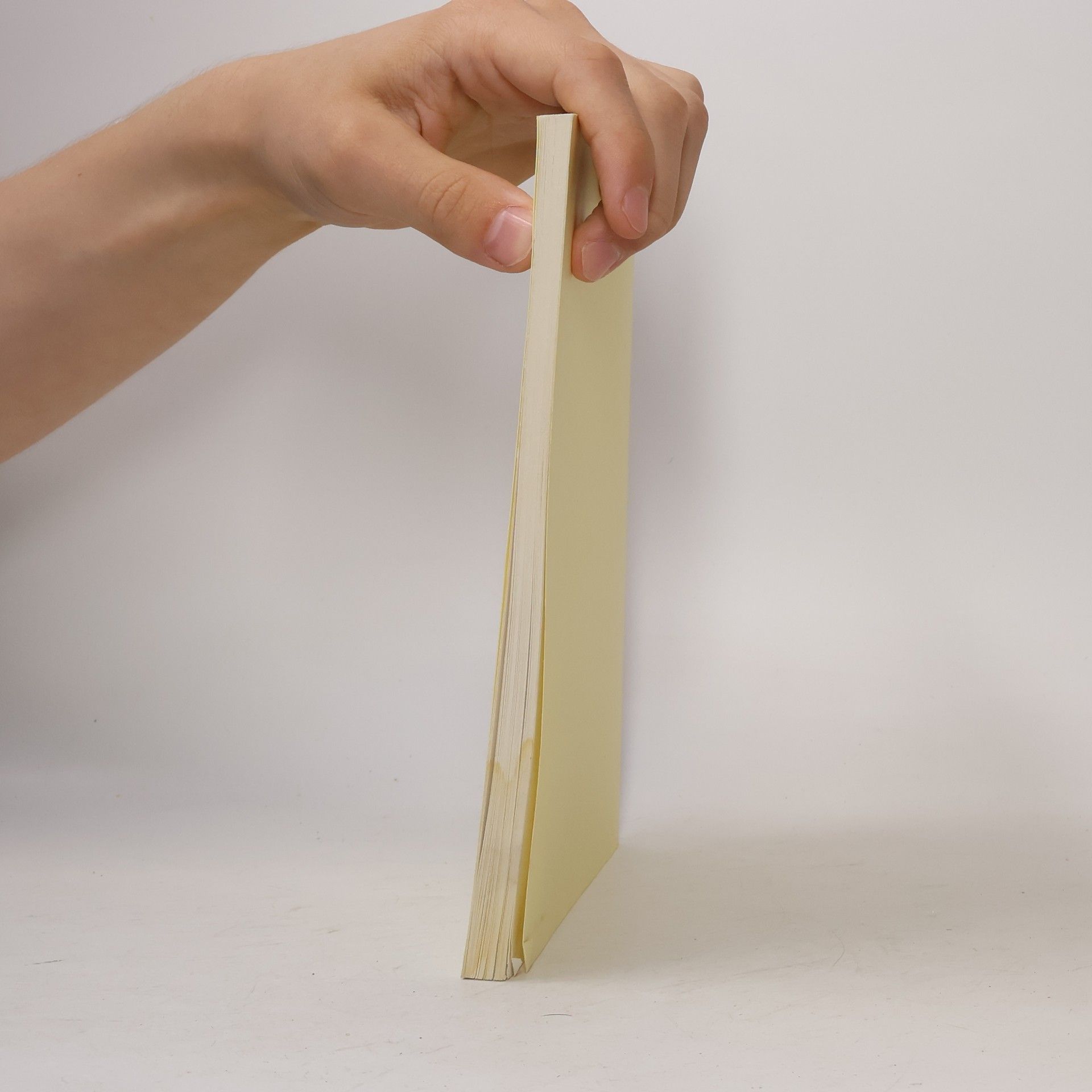 Various authors Die Welt der Schriften Nichiren Daishonins