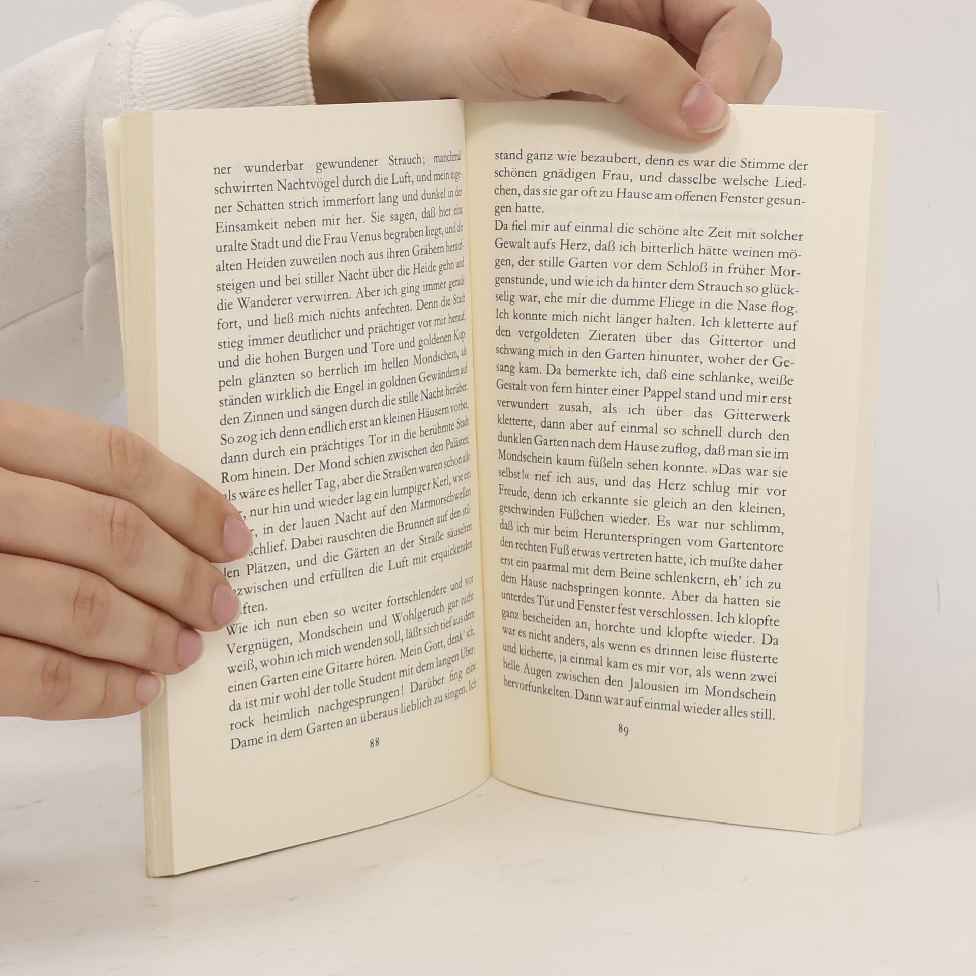 Joseph von Eichendorff Aus dem Leben eines Taugenichts