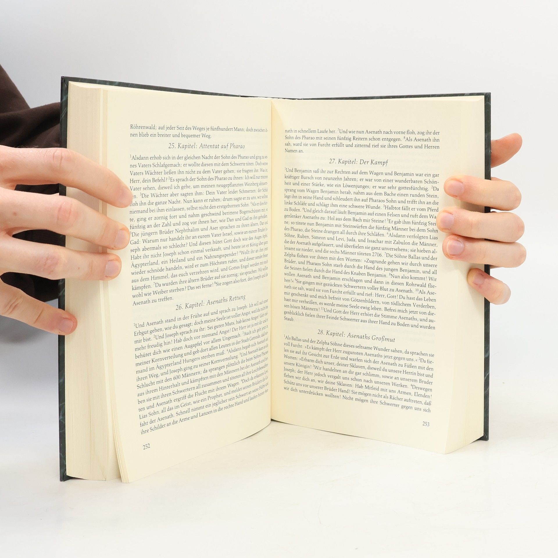 Autorenkollektiv Die Apokryphen
