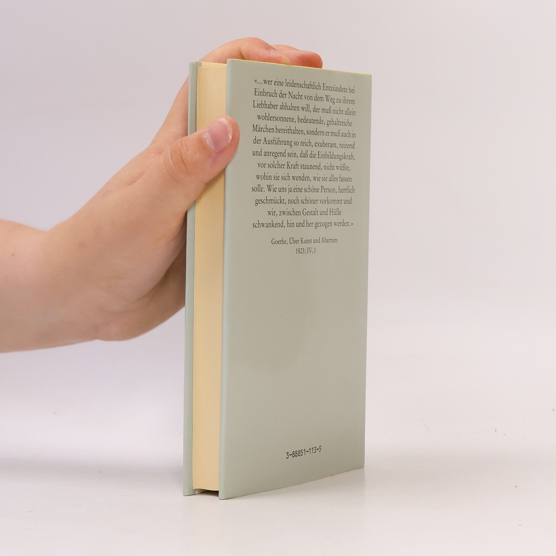 Georg Rosen Tuti-Nameh. Das Papageienbuch