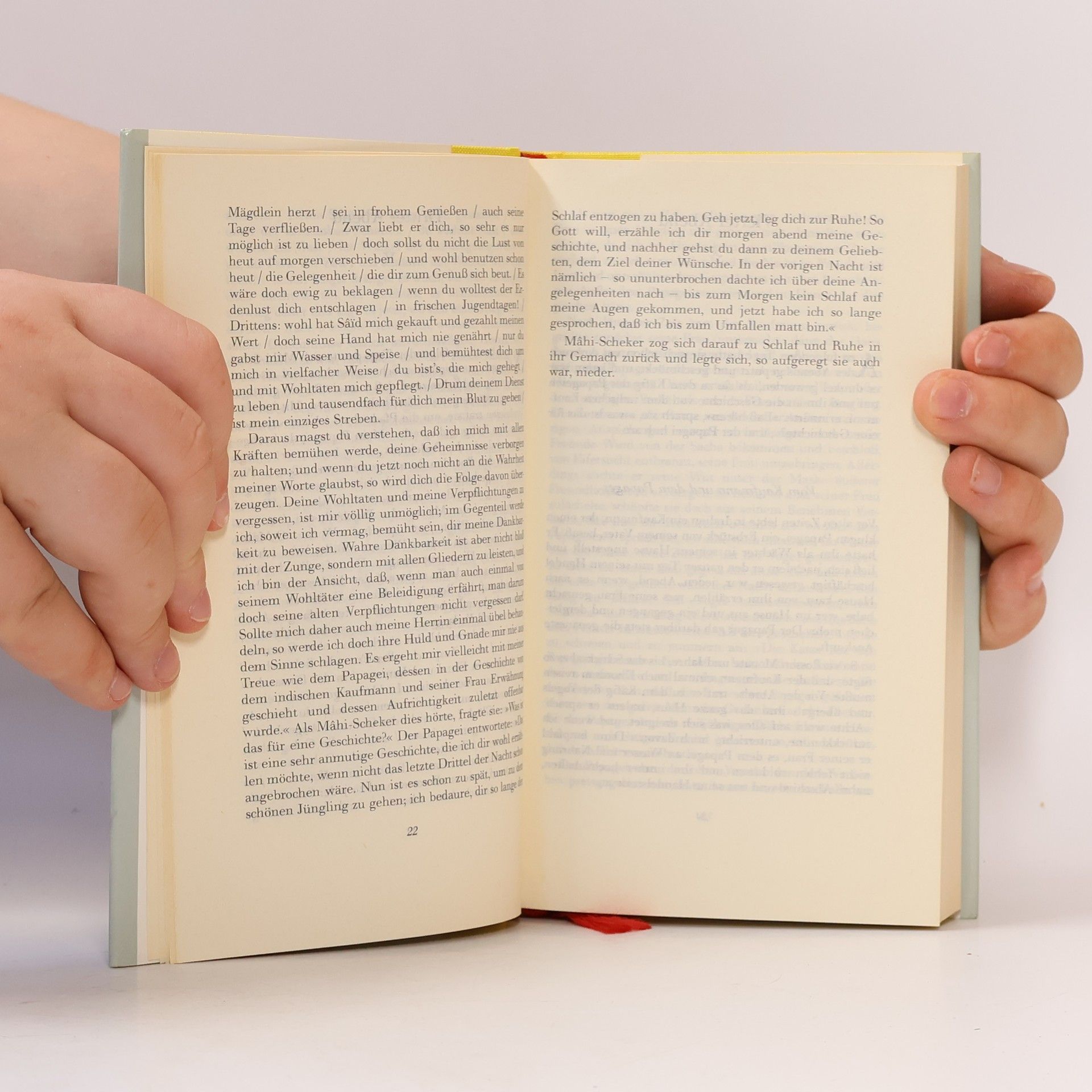 Georg Rosen Tuti-Nameh. Das Papageienbuch
