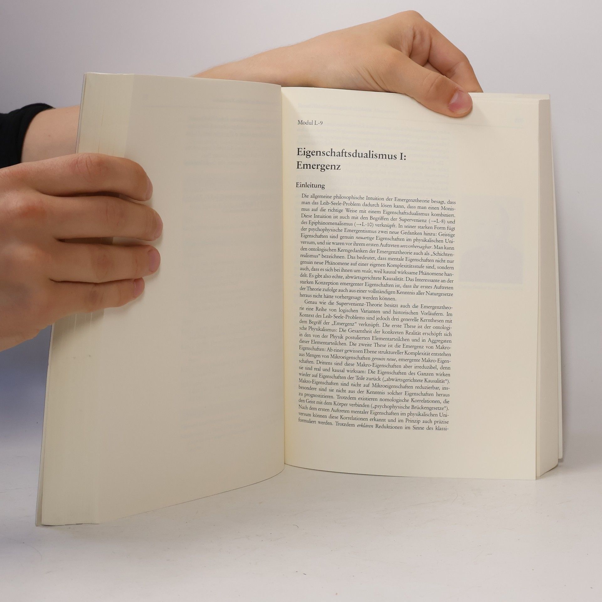 Thomas Metzinger Das Leib-Seele-Problem