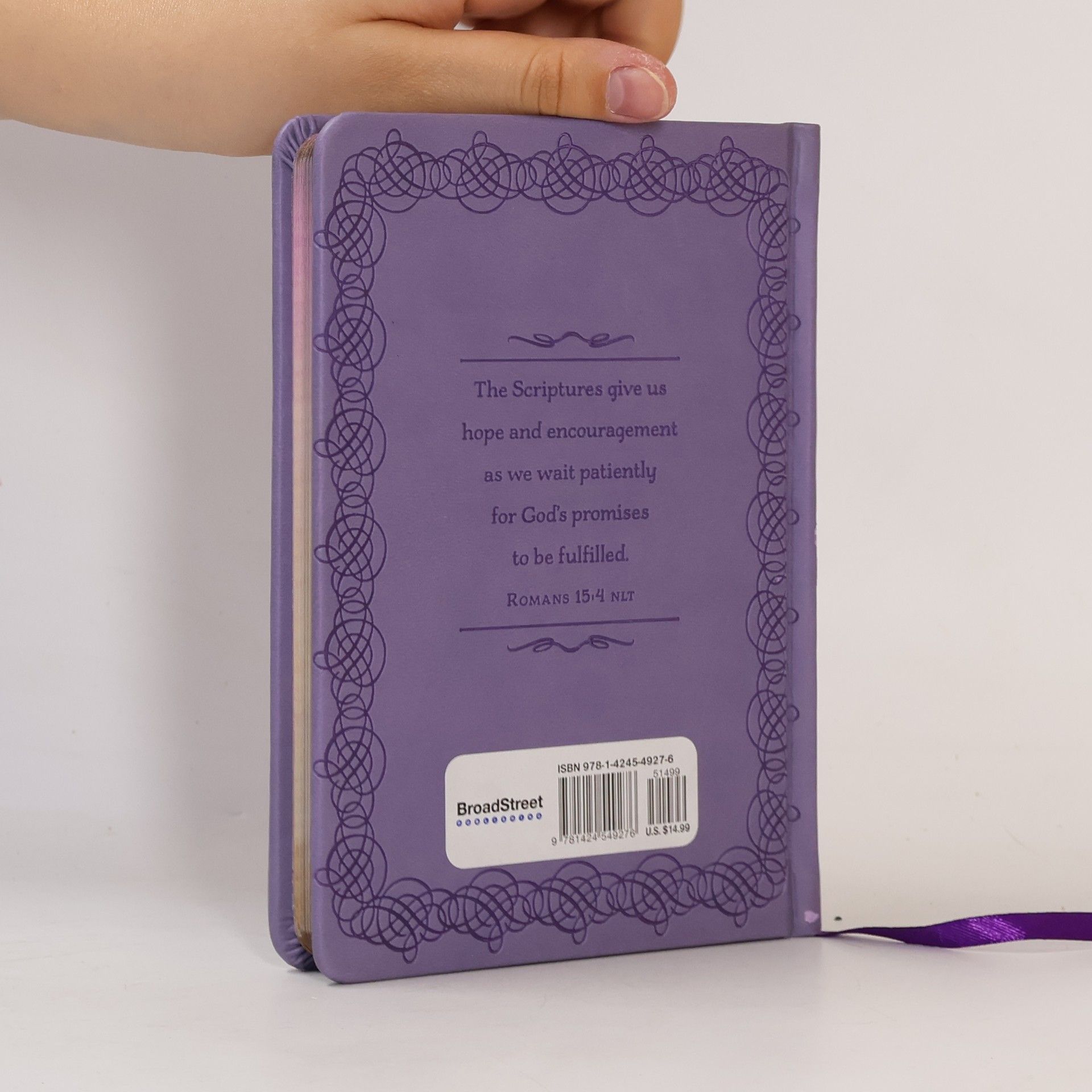 BroadStreet Publishing Group LLC Bible Promises of Comfort and Encouragement