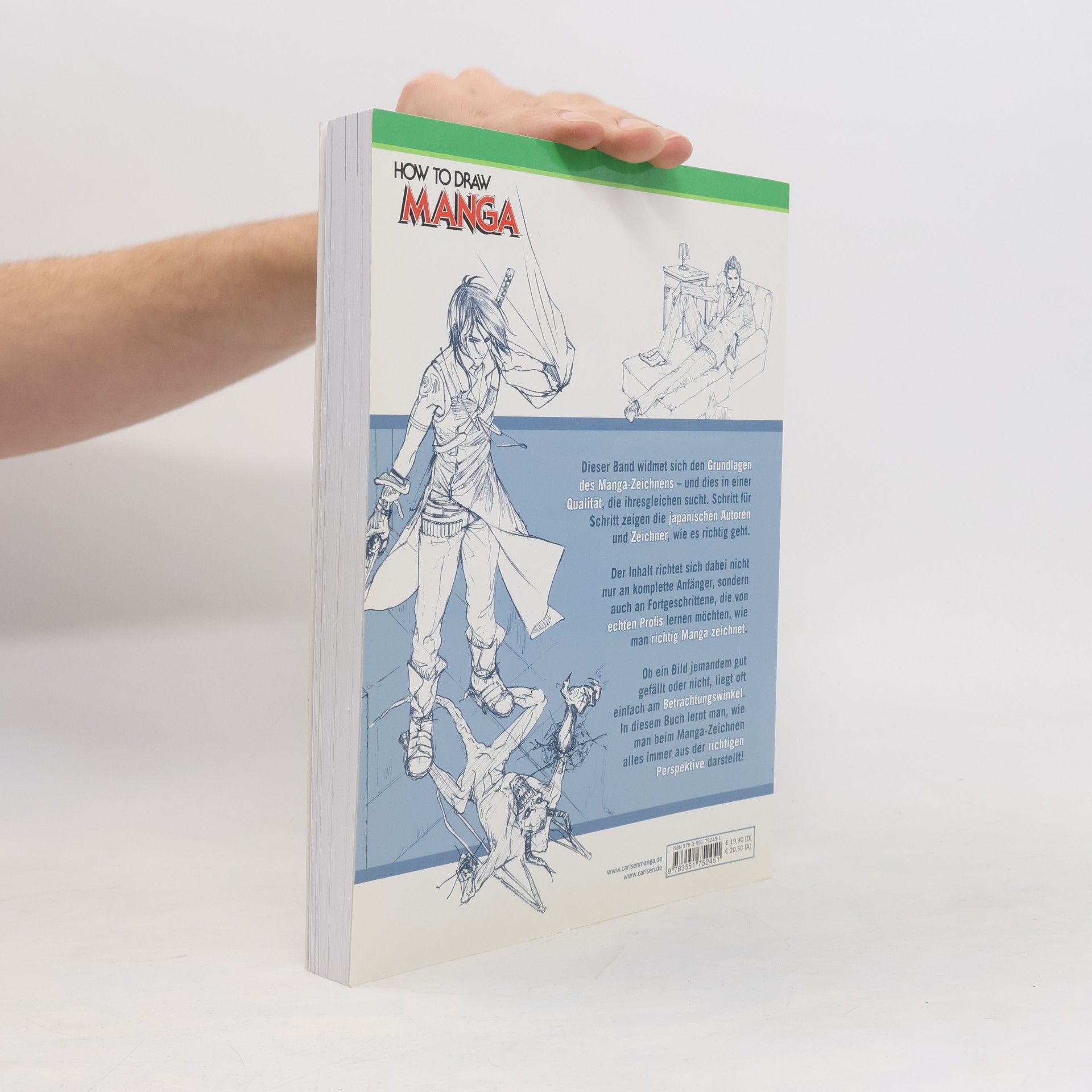 Hikaru Hayashi Manga aus der richtigen Perspektive