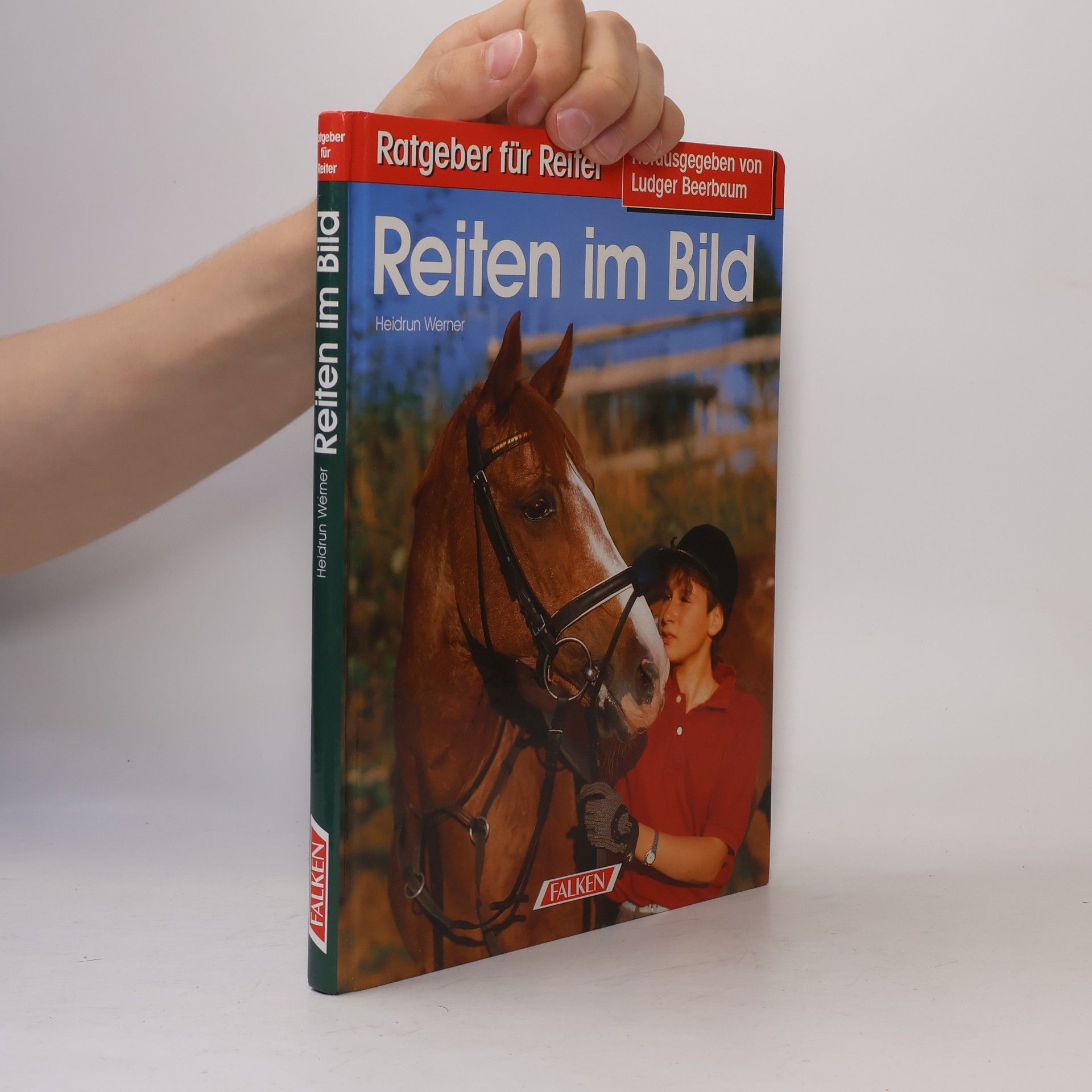 Heidrun Werner Reiten im Bild