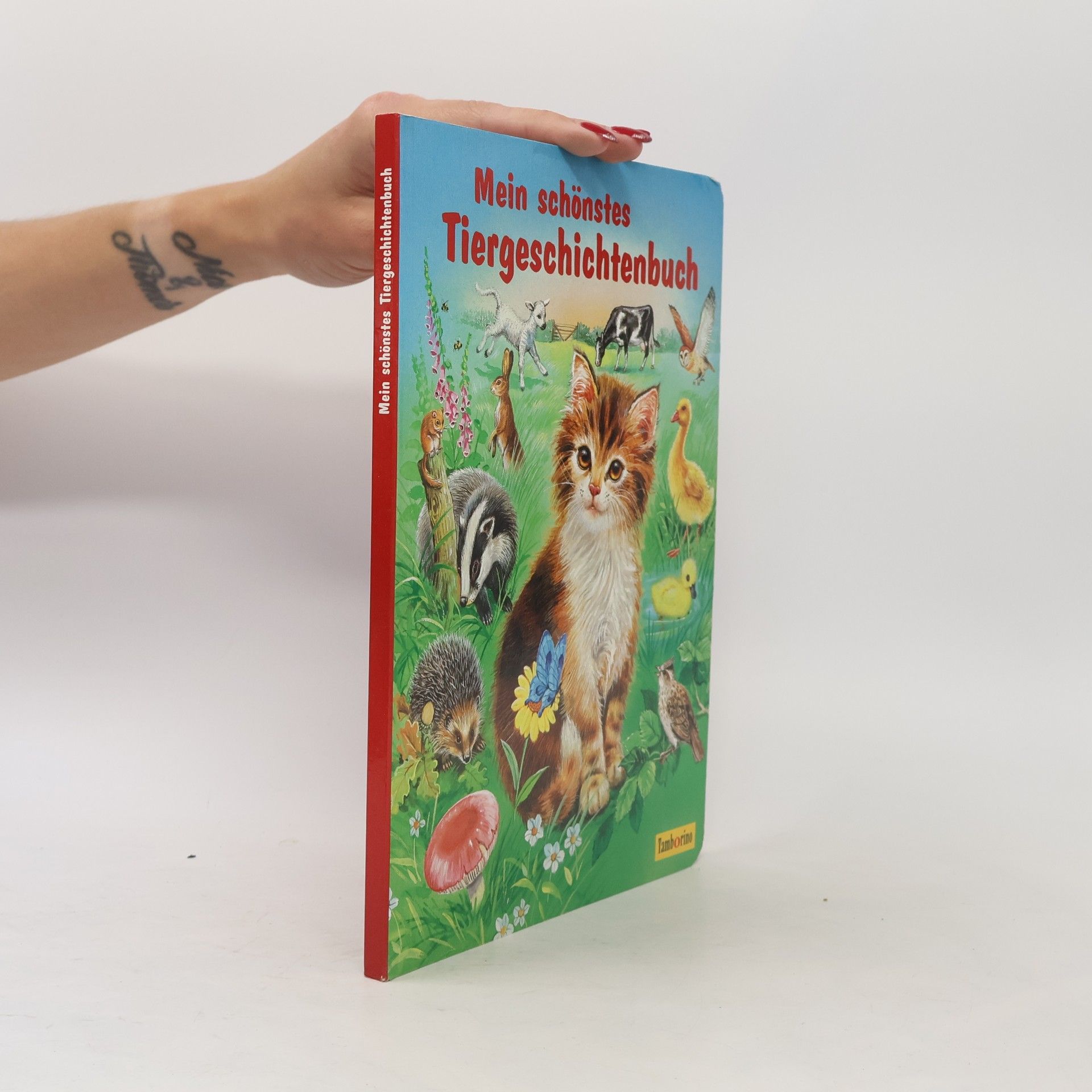 Autorenkollektiv Mein schönstes Tiergeschichtenbuch