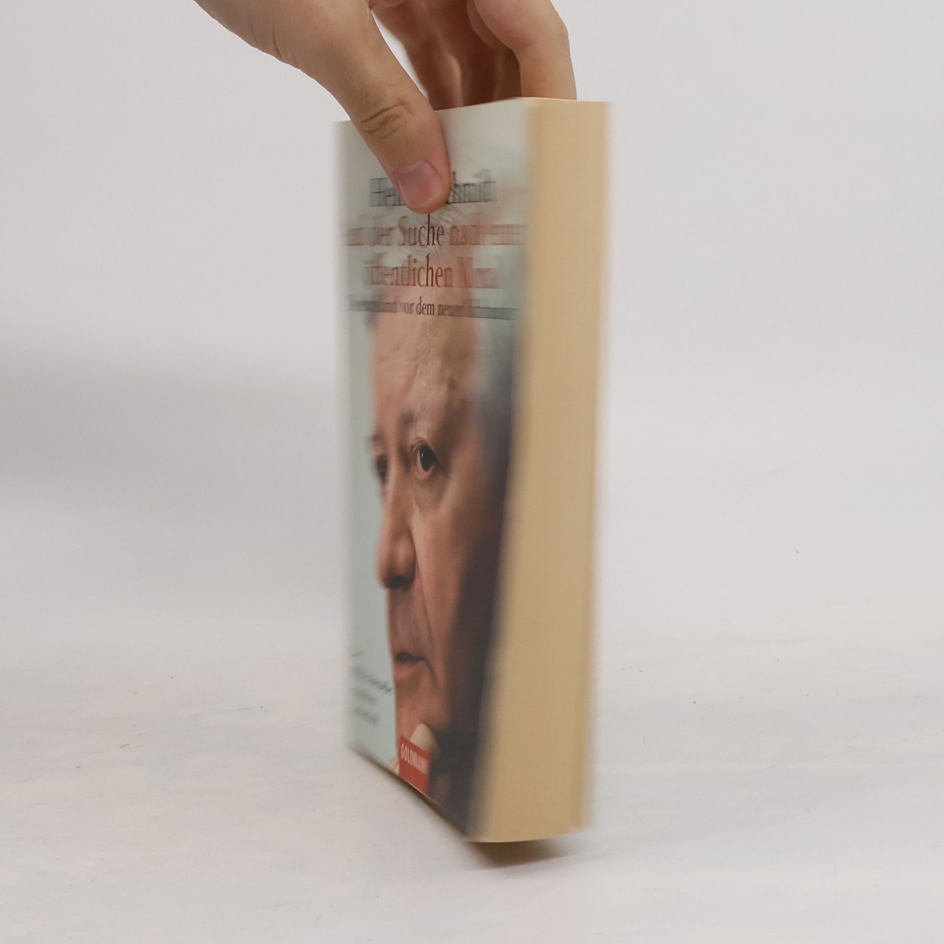 Helmut Schmidt Auf der Suche nach einer öffentlichen Moral : Deutschland vor dem neuen Jahrhundert