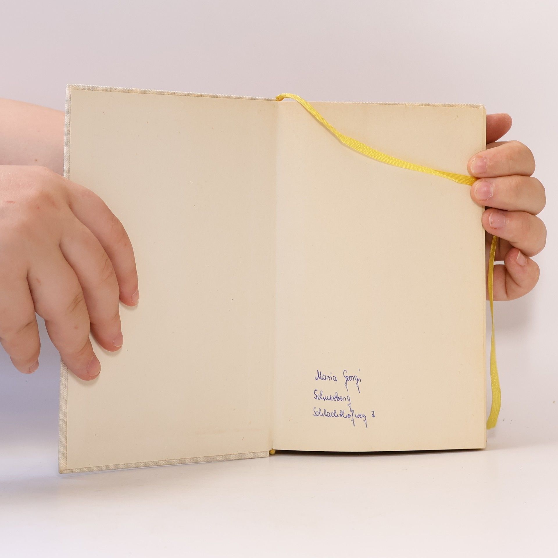 Carmen Laforet Die Wandlung der Paulina Goya