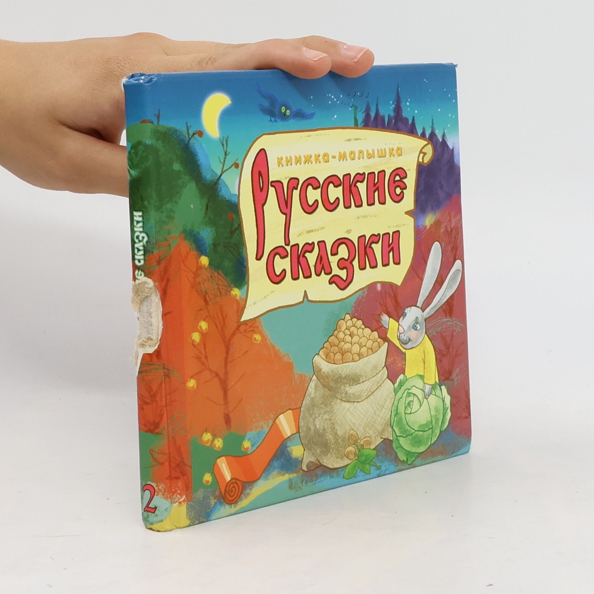 Kolektiv autorů Русские сказки 2