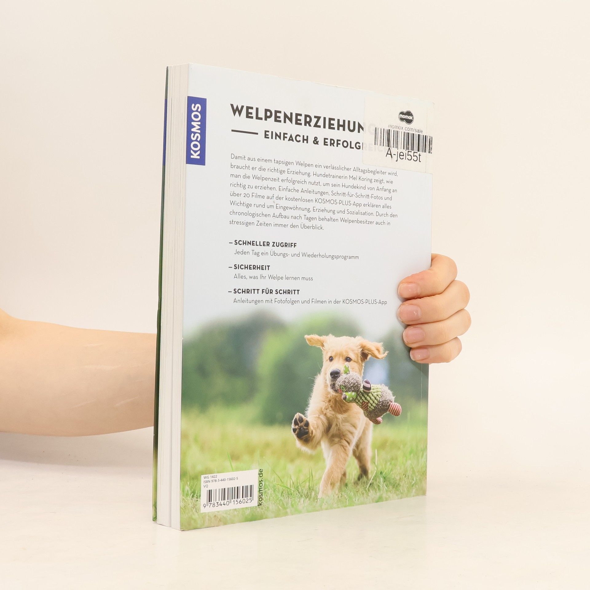 Mel Koring Welpenschule