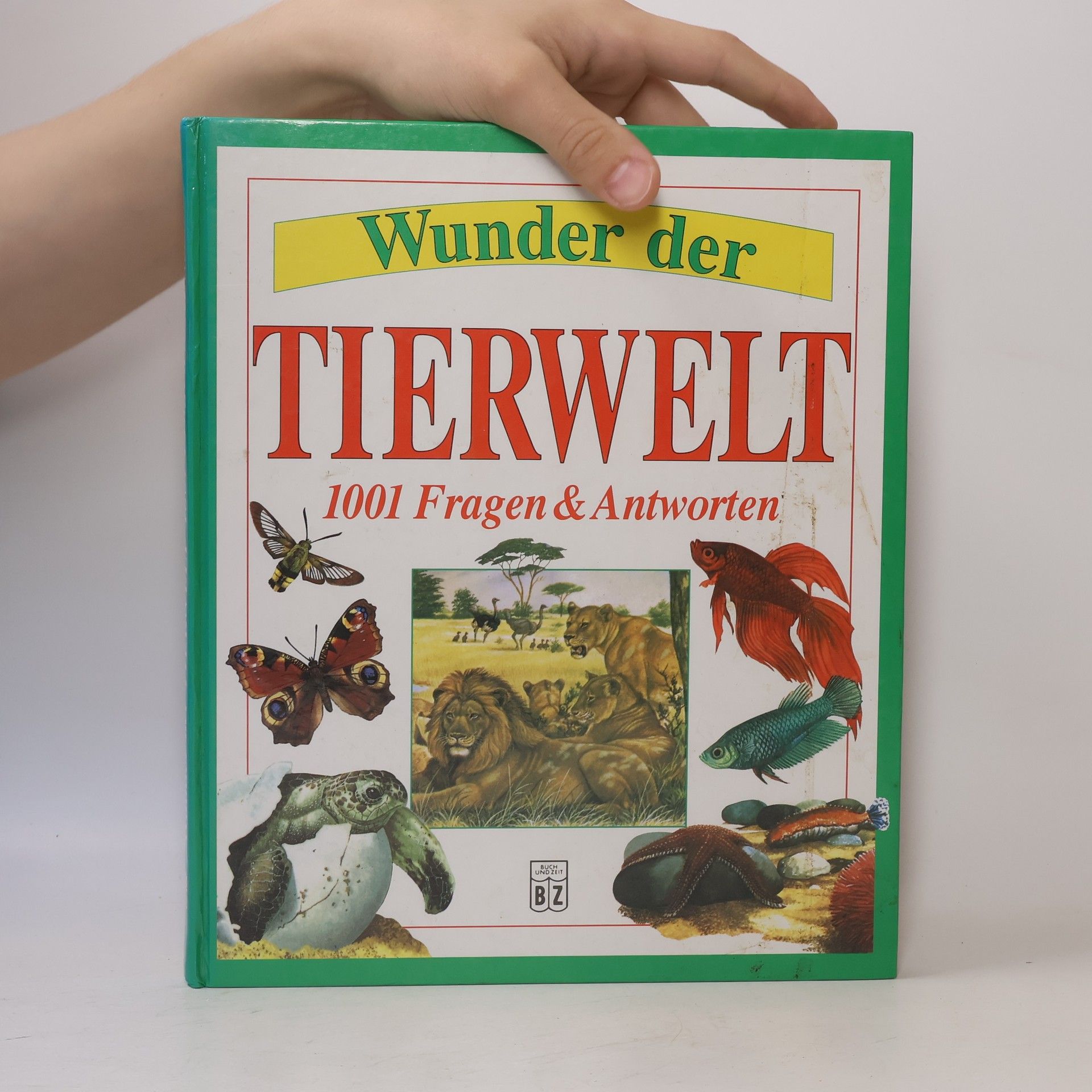 Michele Stable Wunder der Tierwelt 1001 Fragen und Antworten