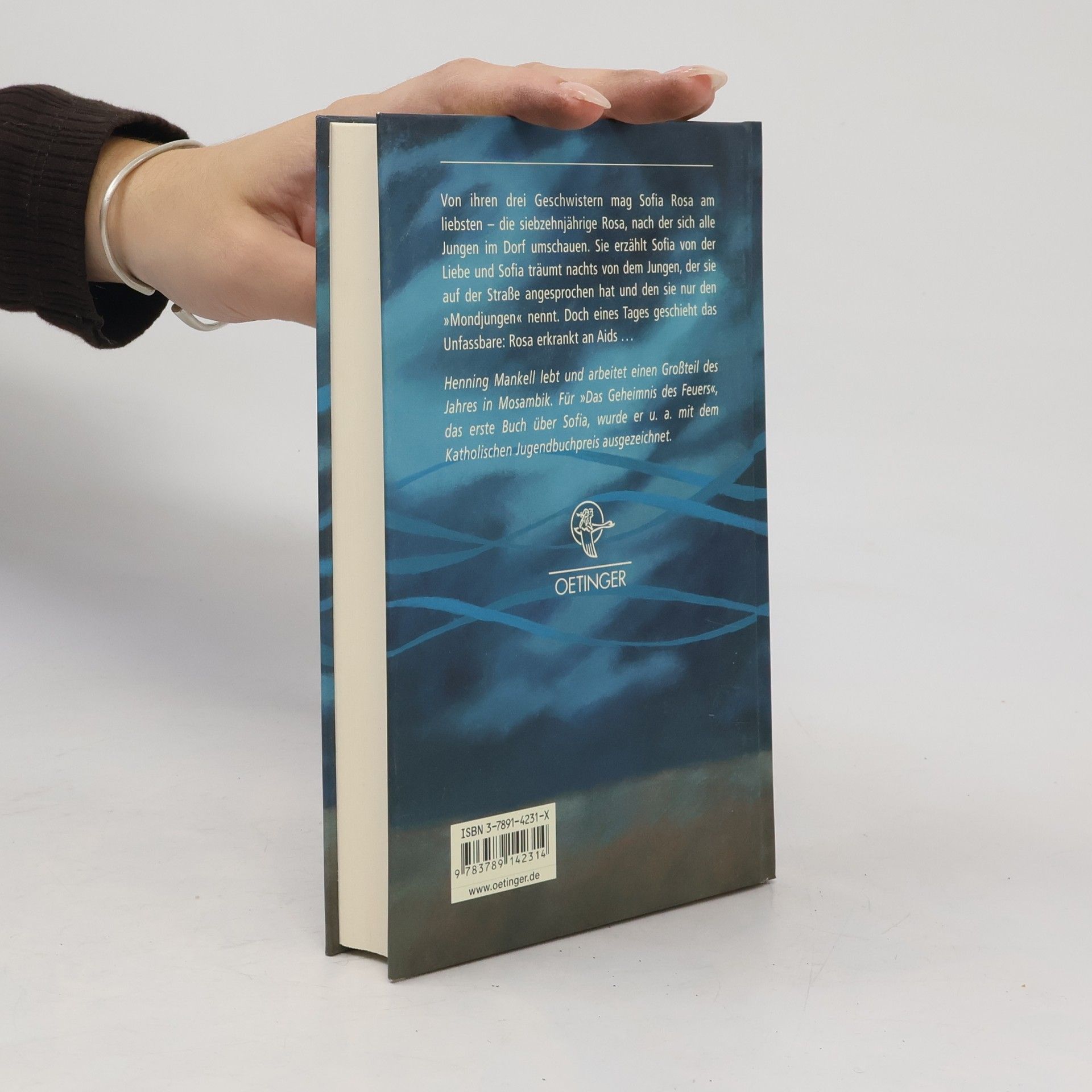 Henning Mankell Das Rätsel des Feuers