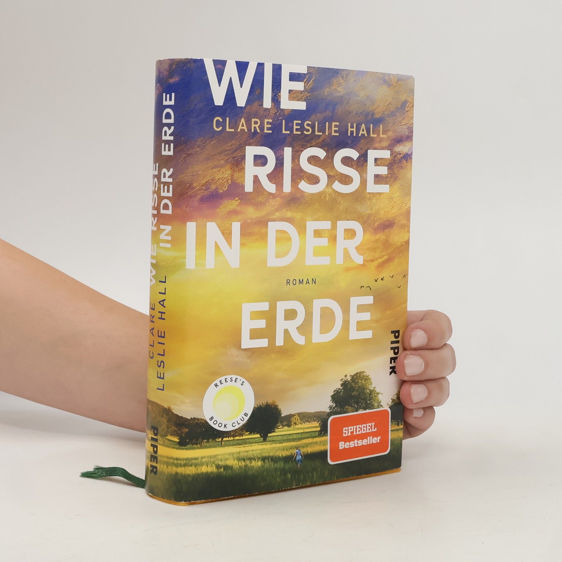 Clare Leslie Hall Wie Risse in der Erde
