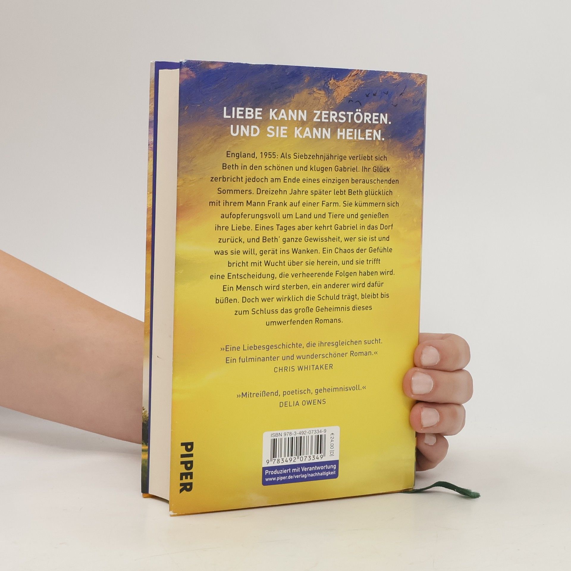Clare Leslie Hall Wie Risse in der Erde