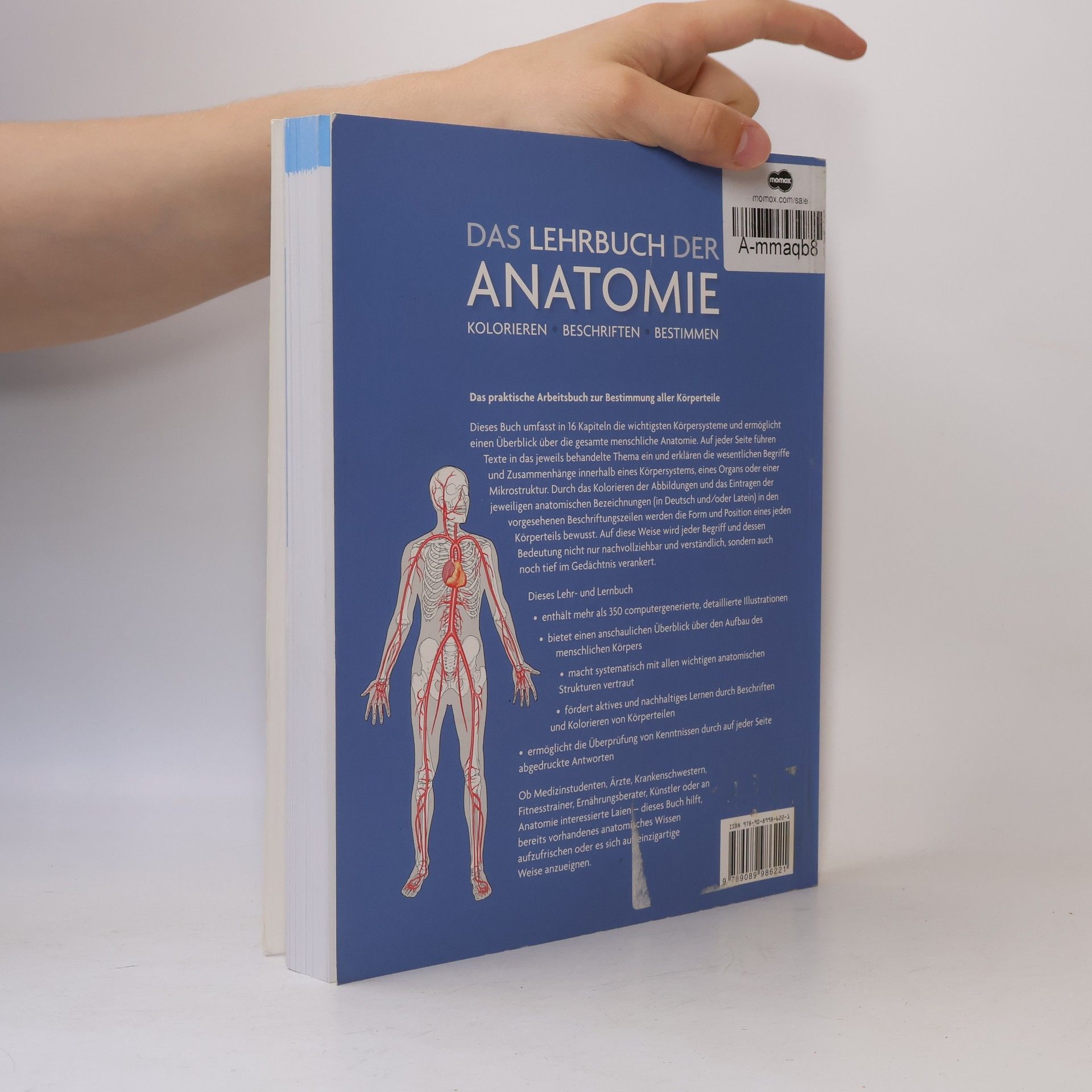 Ken Ashwell Das Lehrbuch der Anatomie
