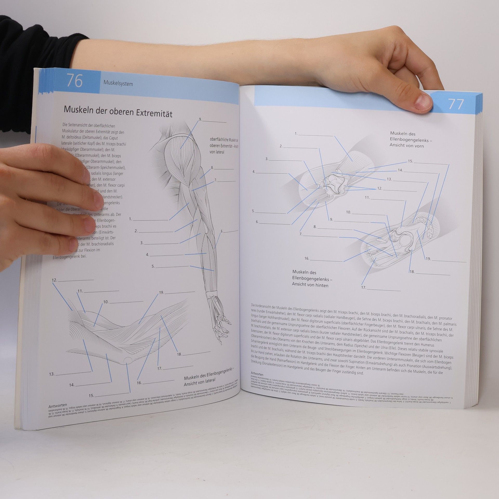 Ken Ashwell Das Lehrbuch der Anatomie