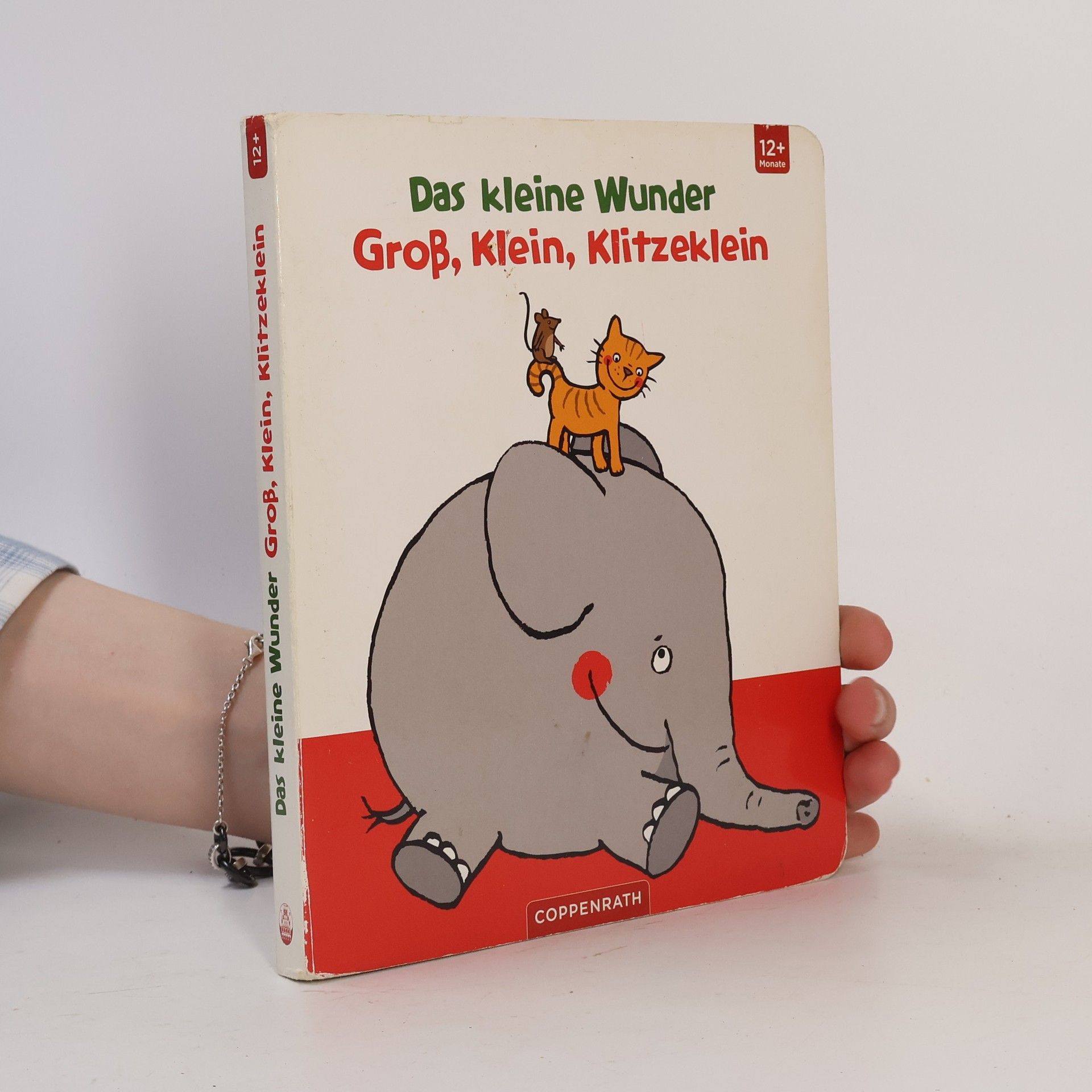 Maike Taddicken Das kleine Wunder - Groß, Klein, Klitzeklein