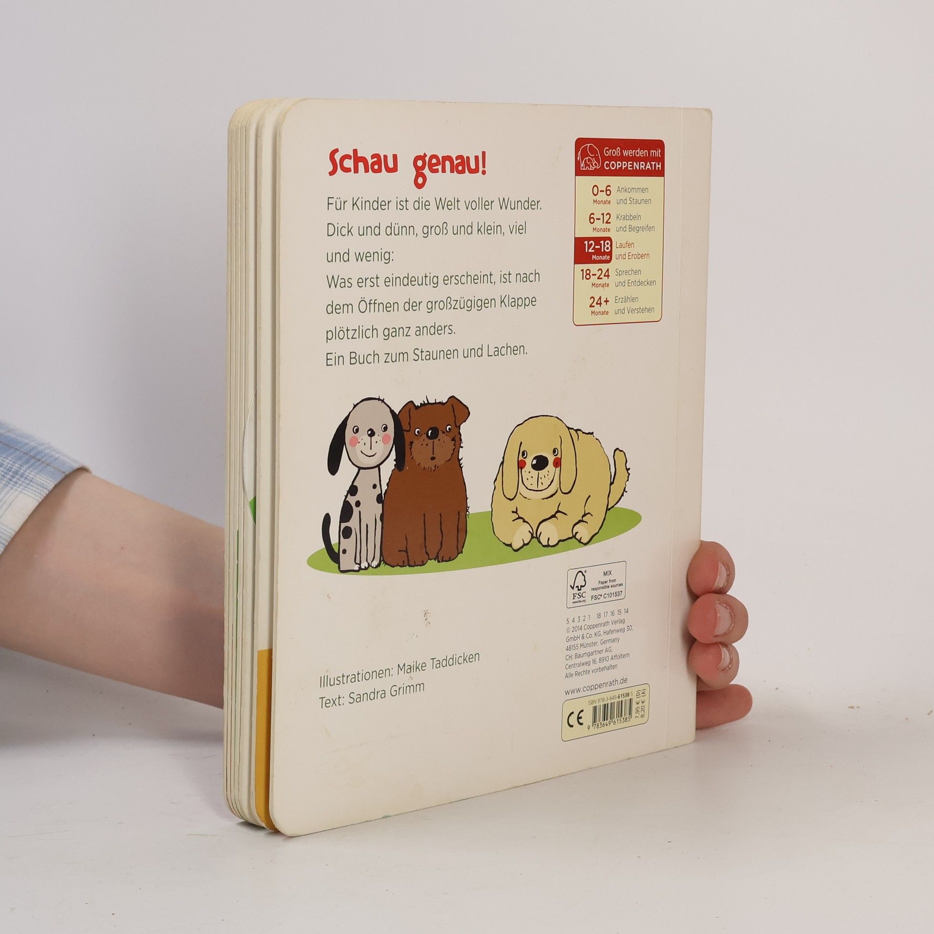 Maike Taddicken Das kleine Wunder - Groß, Klein, Klitzeklein