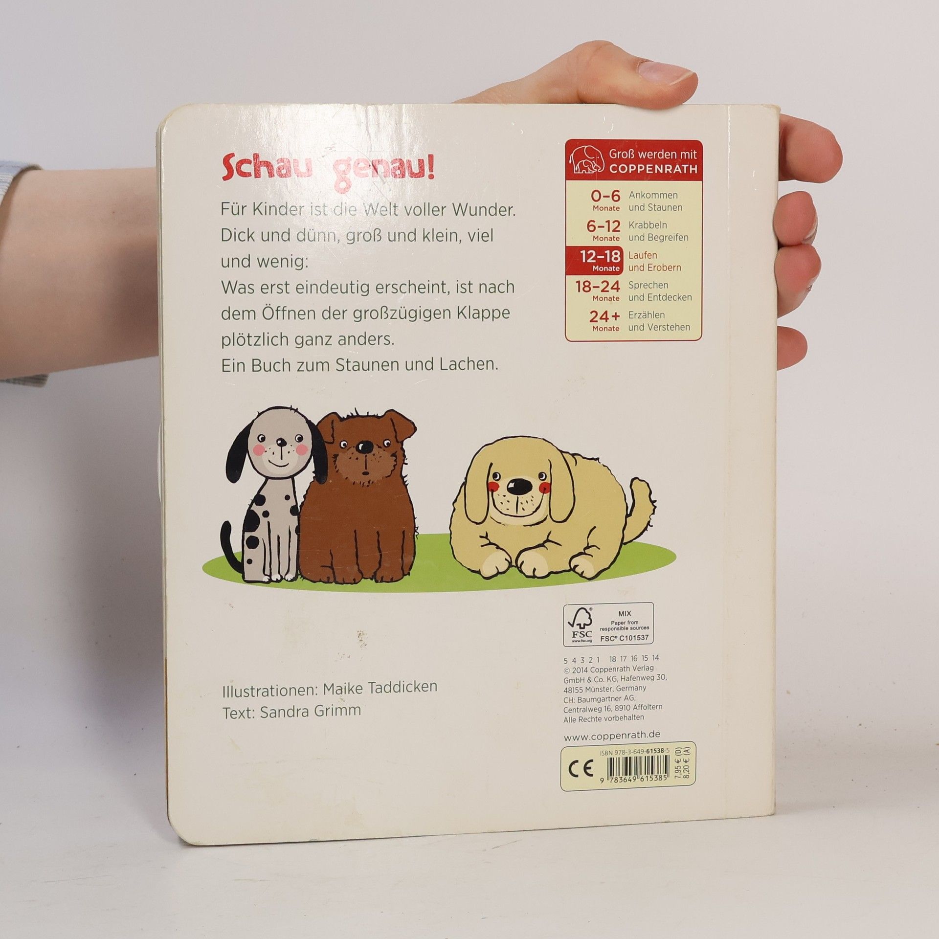 Maike Taddicken Das kleine Wunder - Groß, Klein, Klitzeklein