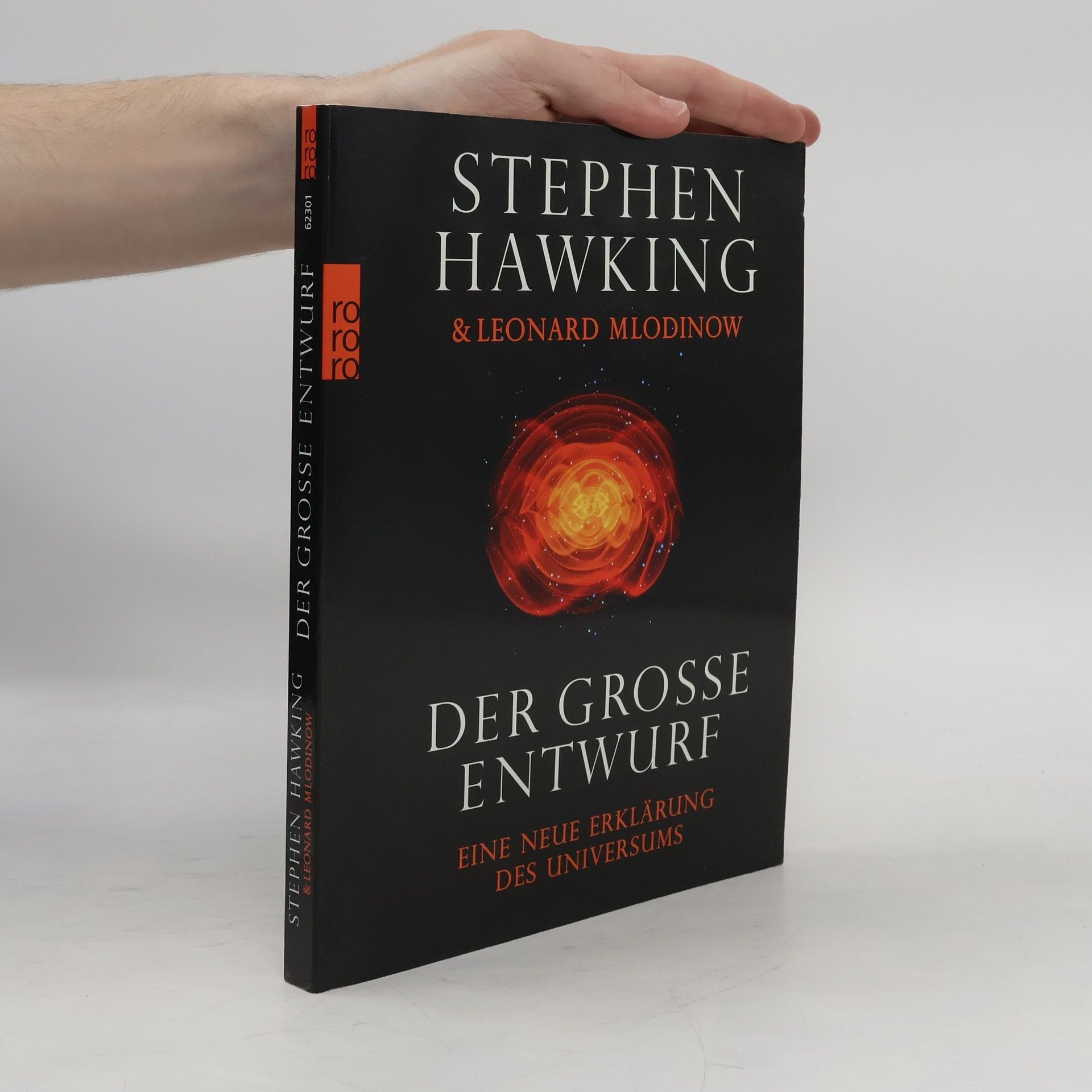 Stephen Hawking Der grosse Entwurf