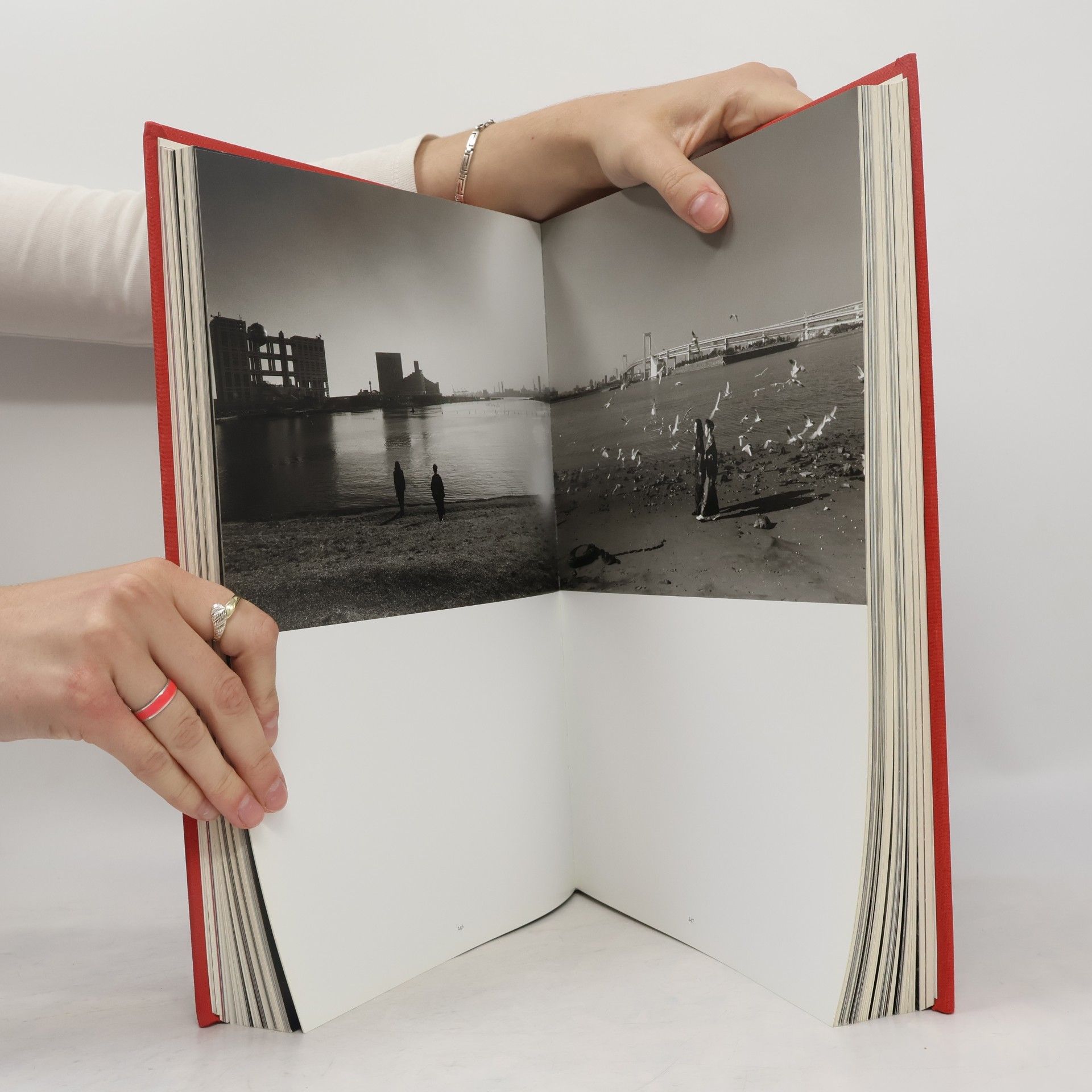 Nobuyoshi Araki Araki