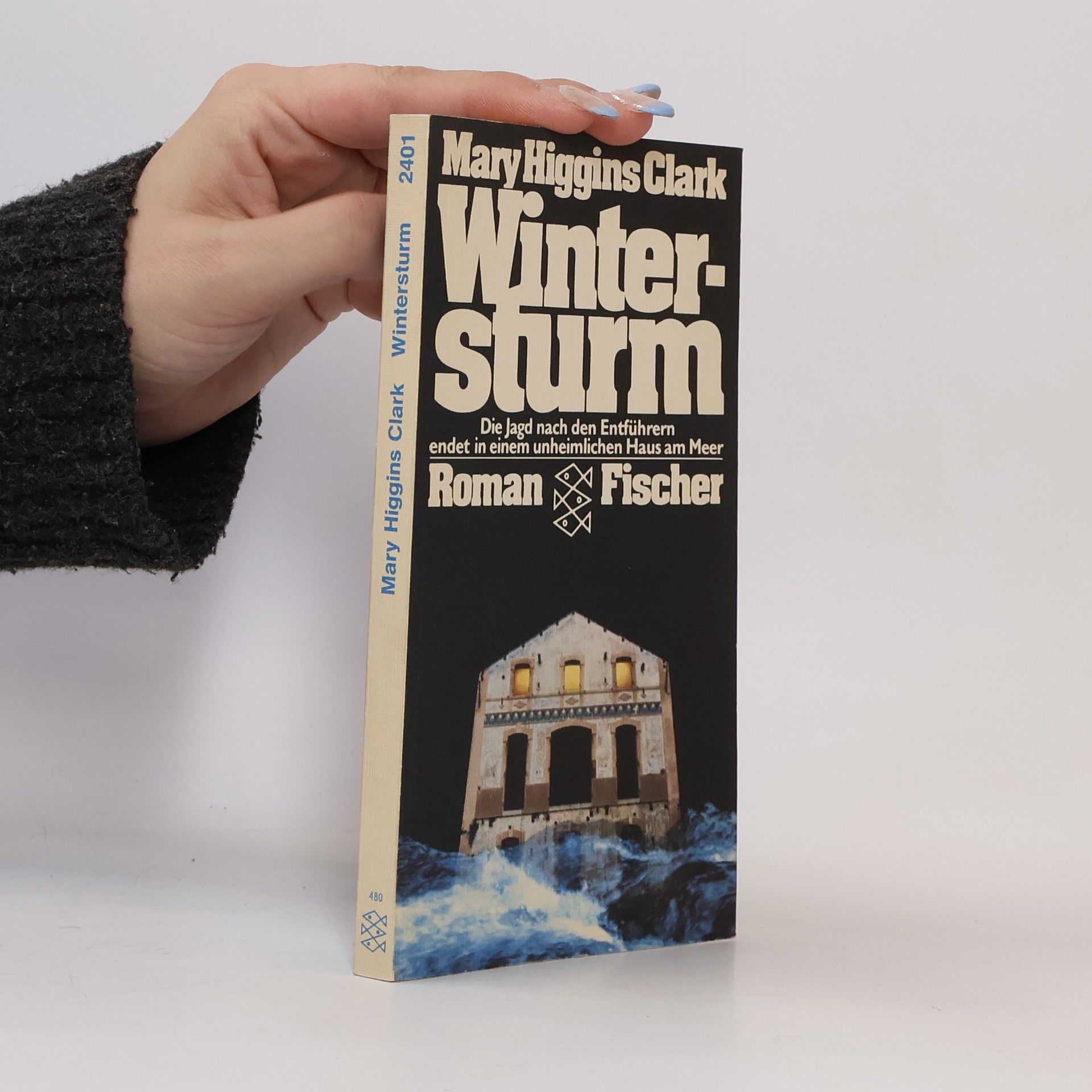Mary Higgins Clark Wintersturm