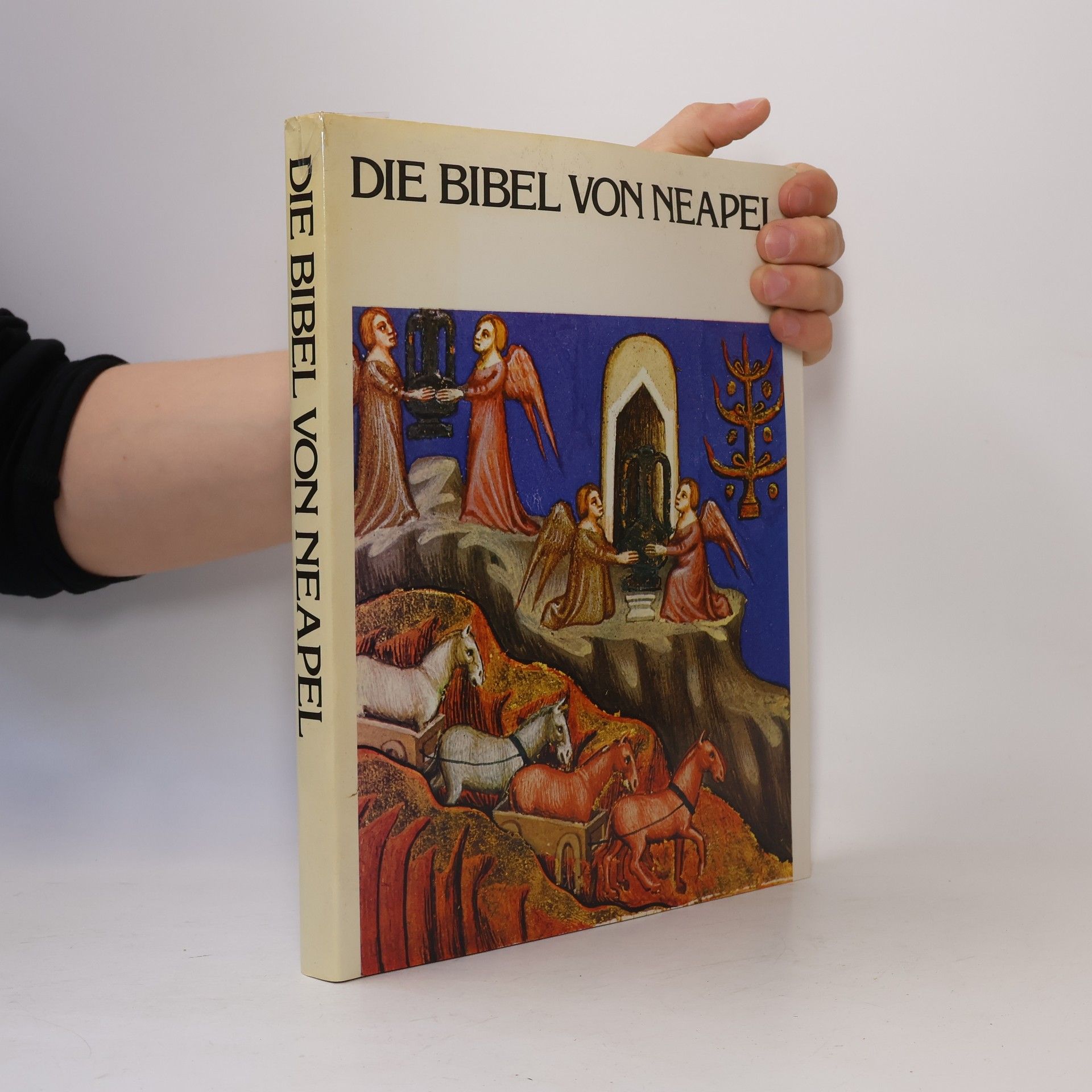 Autorenkollektiv Die Bibel von Neapel