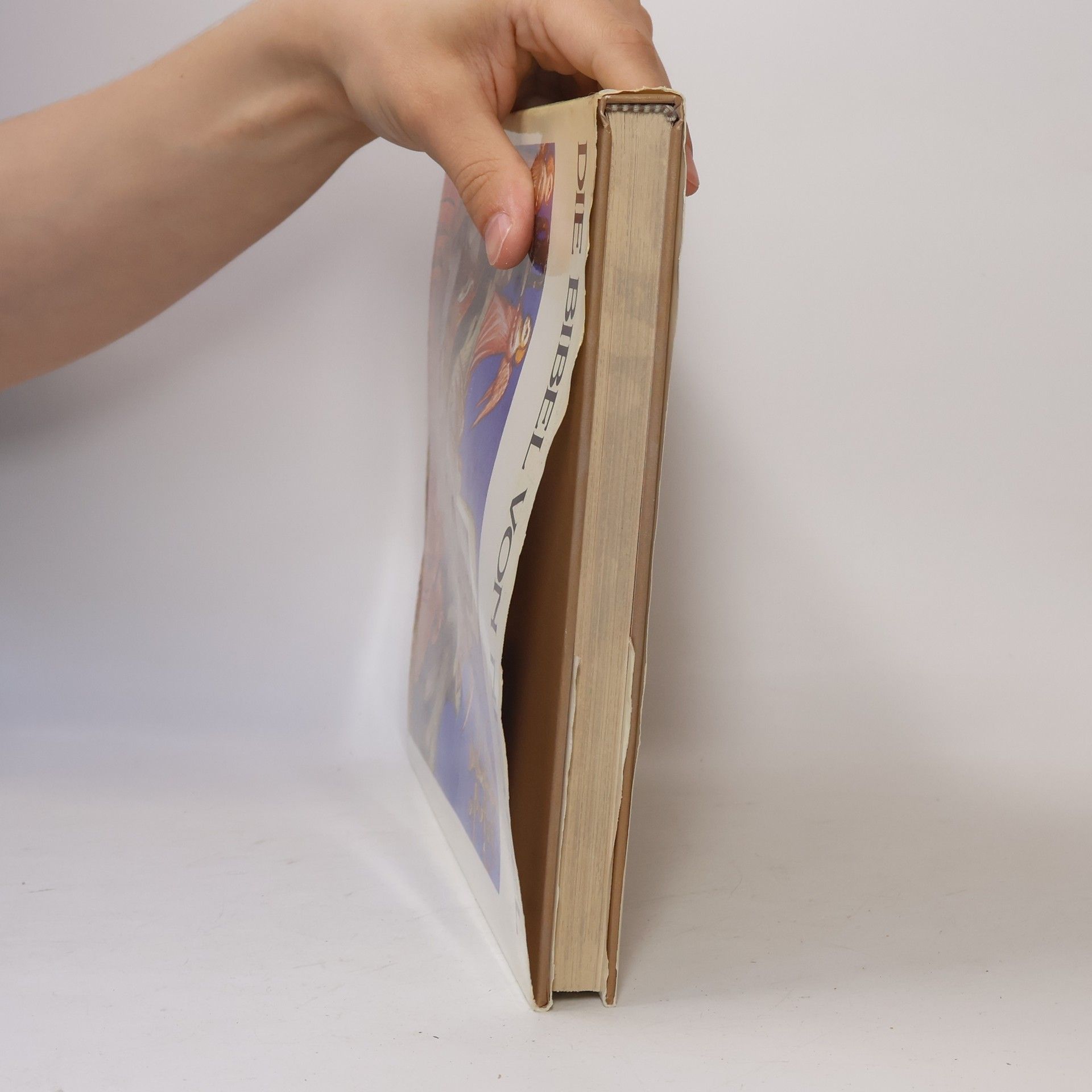 Various authors Die Bibel von Neapel