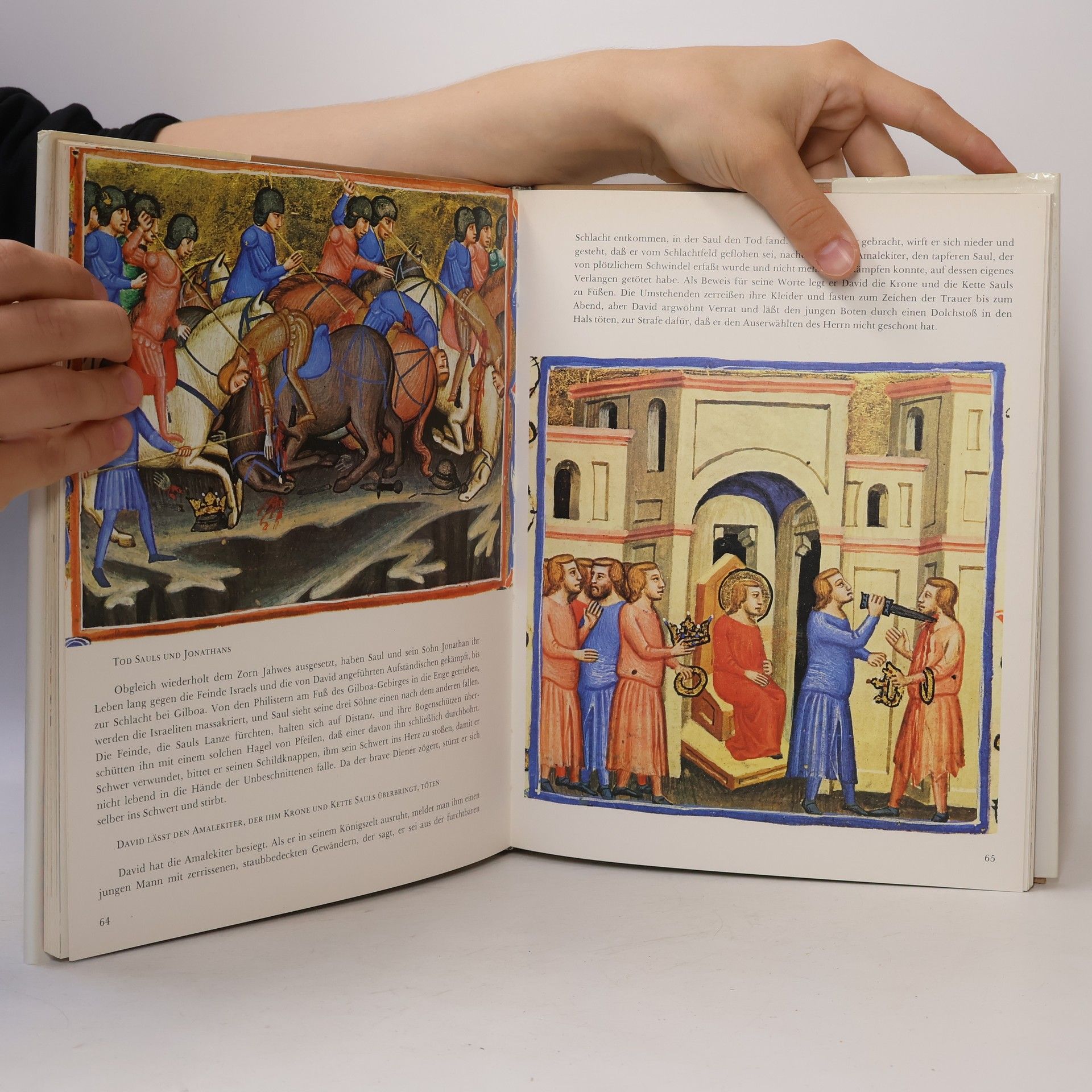 Various authors Die Bibel von Neapel