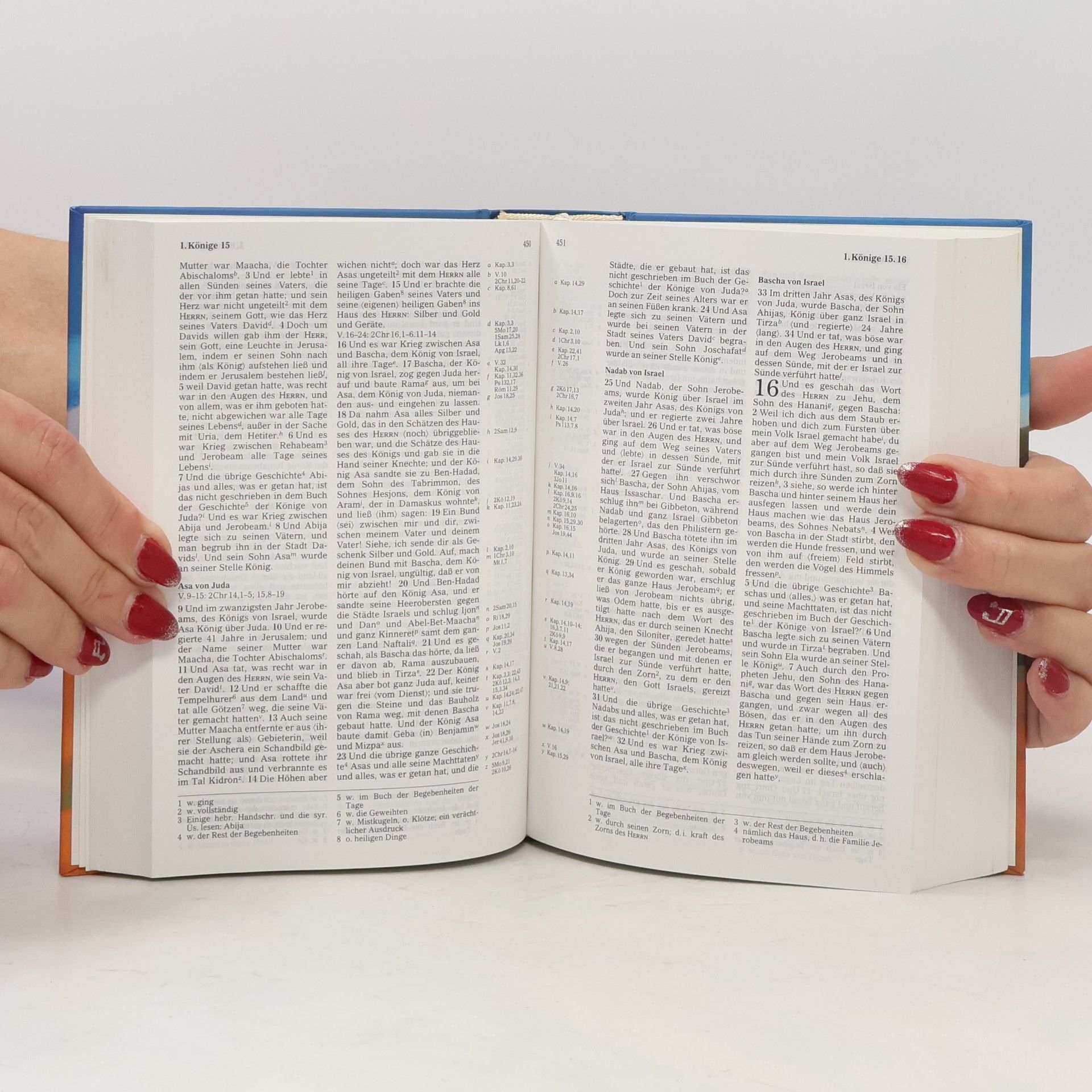 Various authors Die Bibel