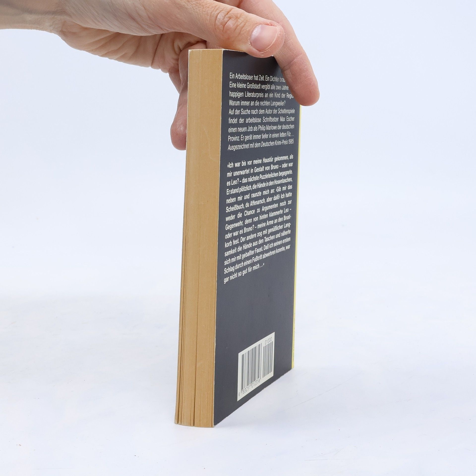 Frieder Faist Haffmans Taschenbuch - 35: Schattenspiele