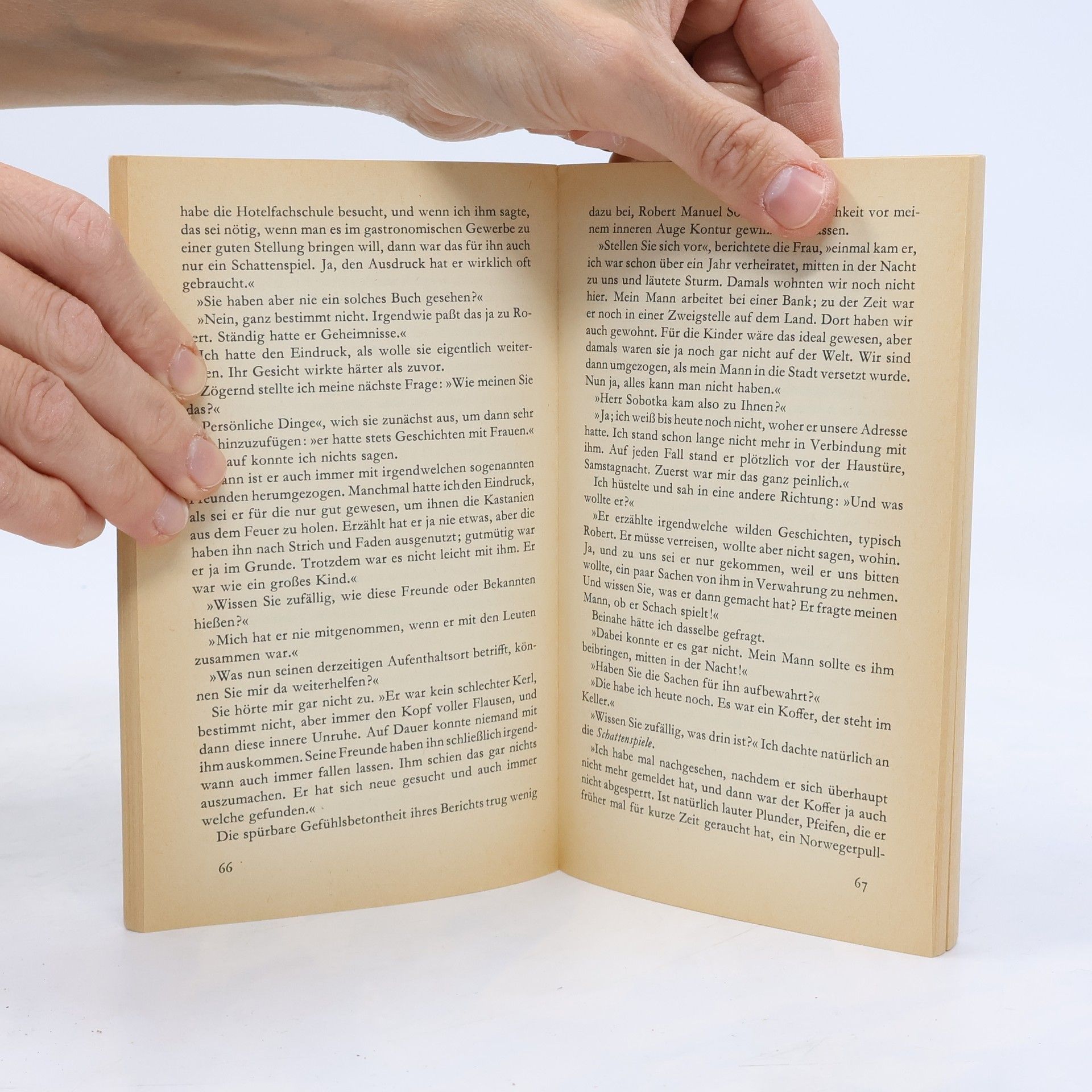 Frieder Faist Haffmans Taschenbuch - 35: Schattenspiele