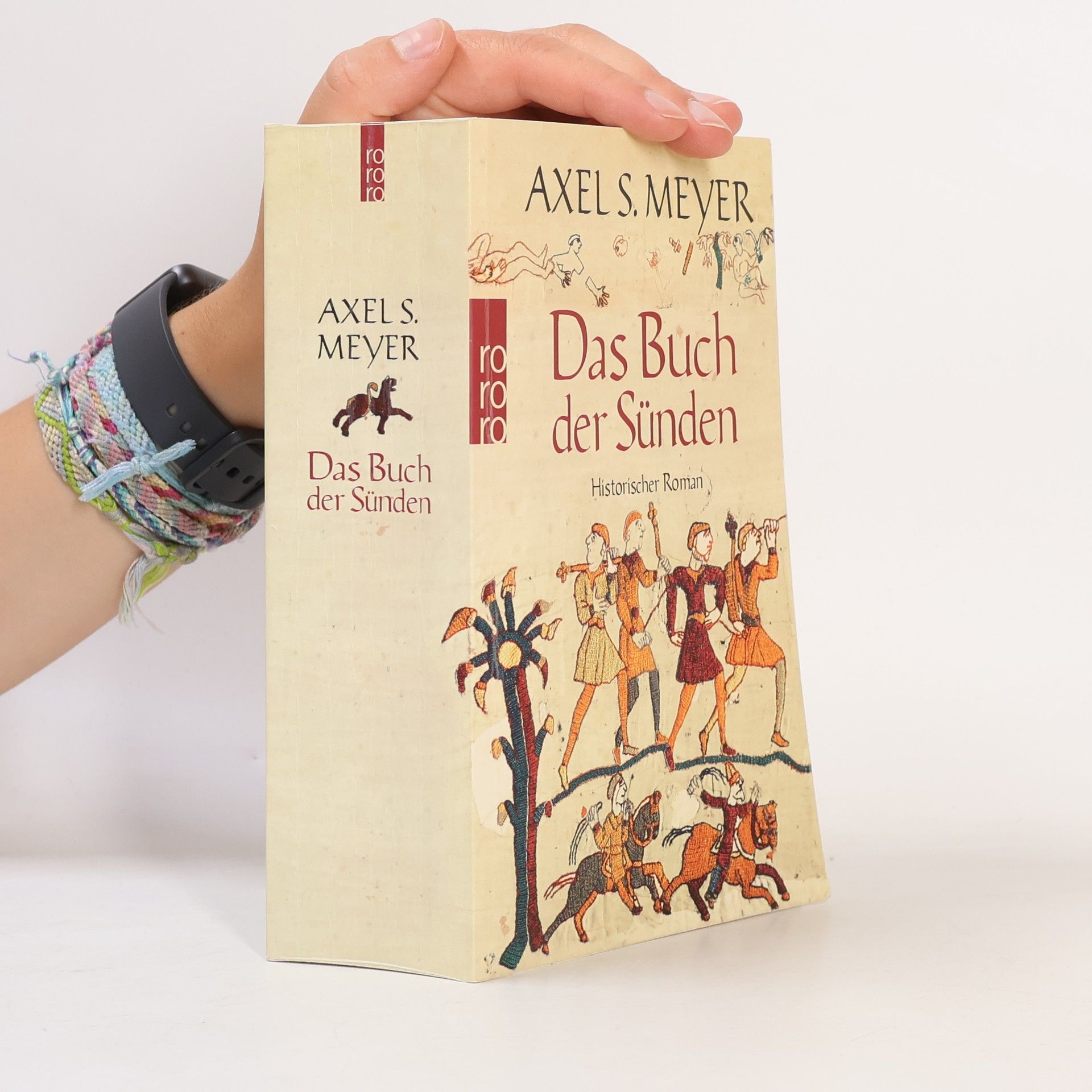 Axel Meyer Das Buch der Sünden