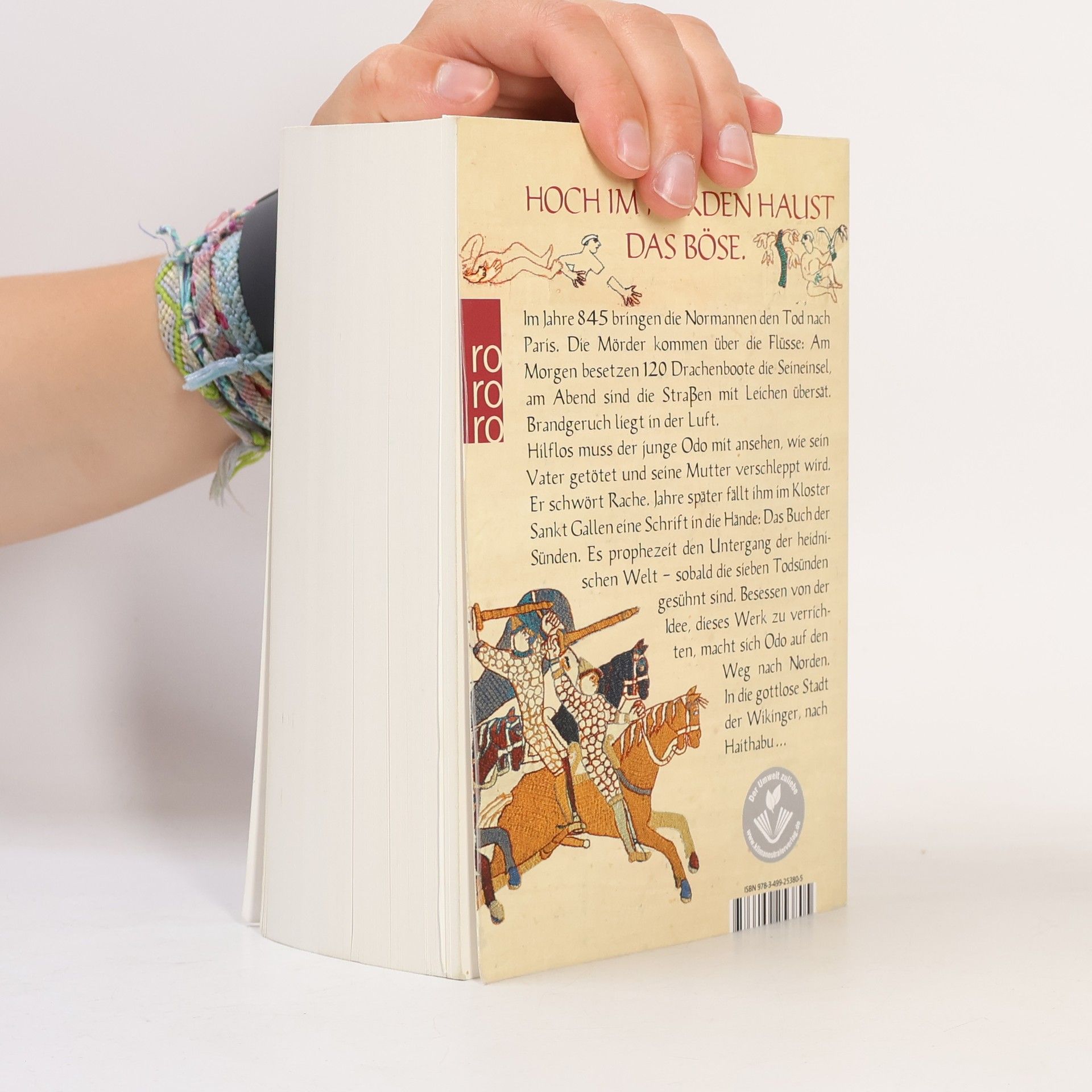 Axel Meyer Das Buch der Sünden