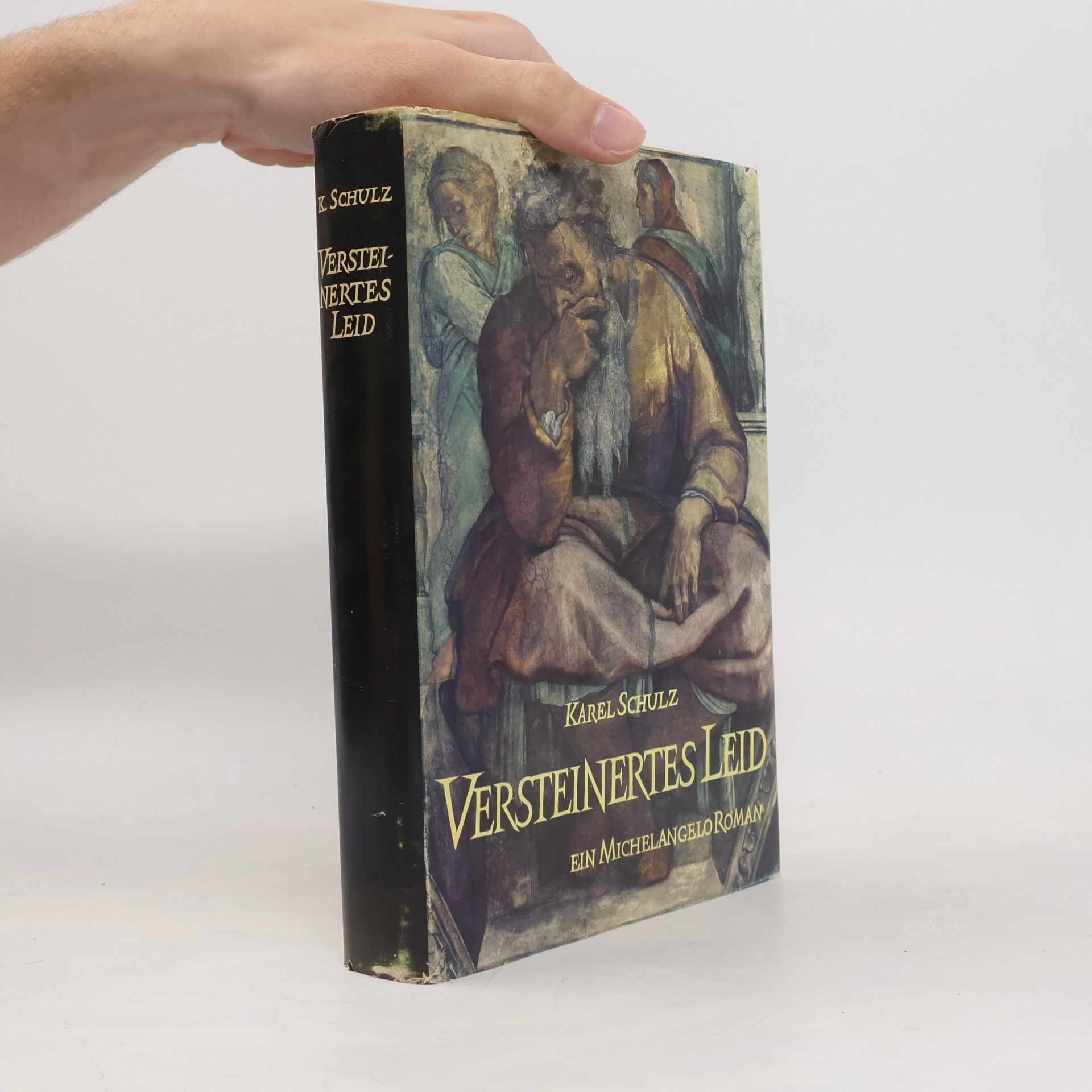 Karel Schulz Versteinertes Leid
