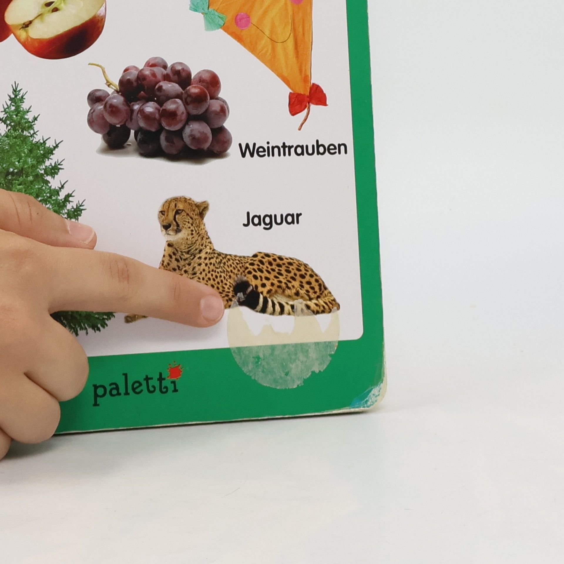 Autorenkollektiv ABC