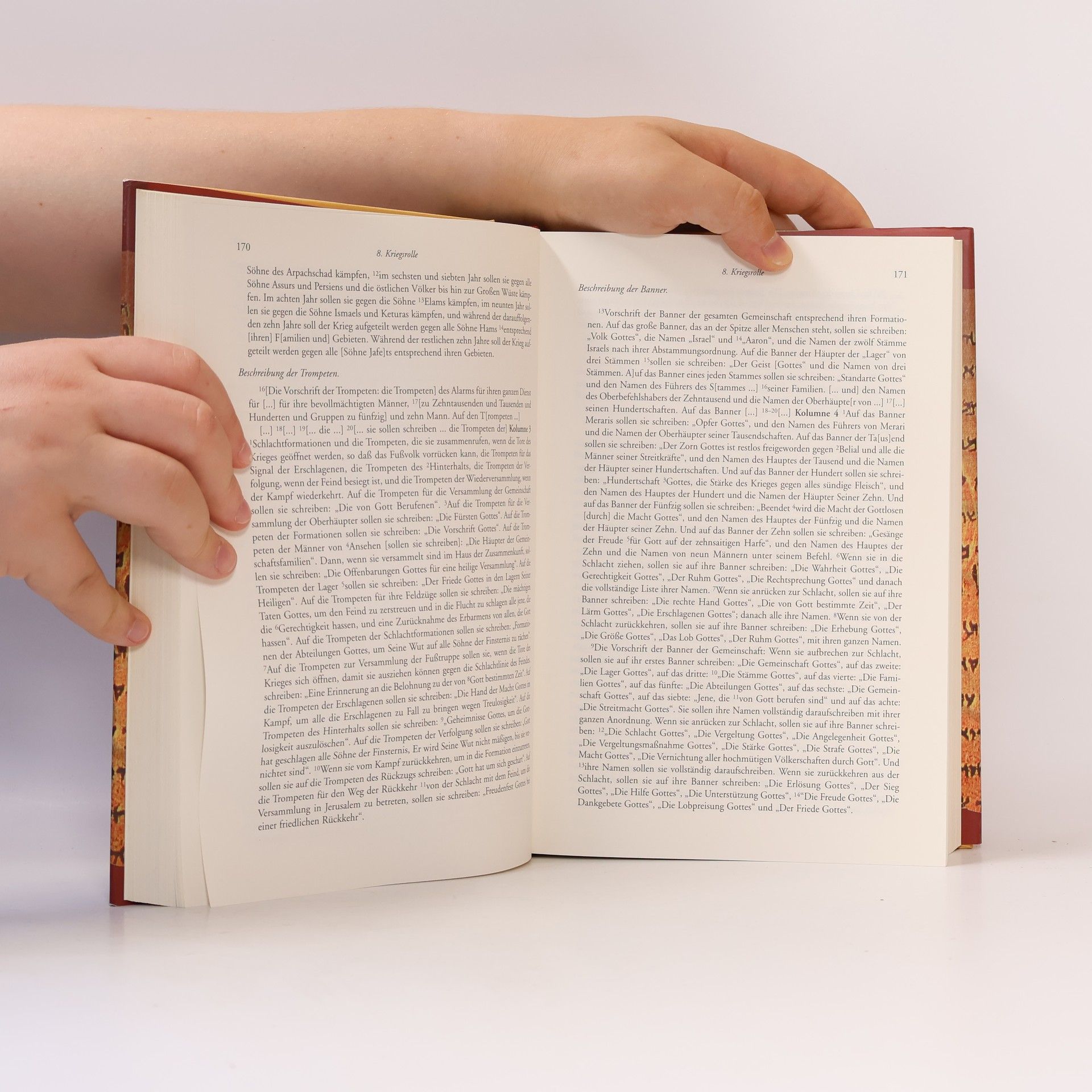 Michael Owen Wise Die Schriftrollen von Qumran