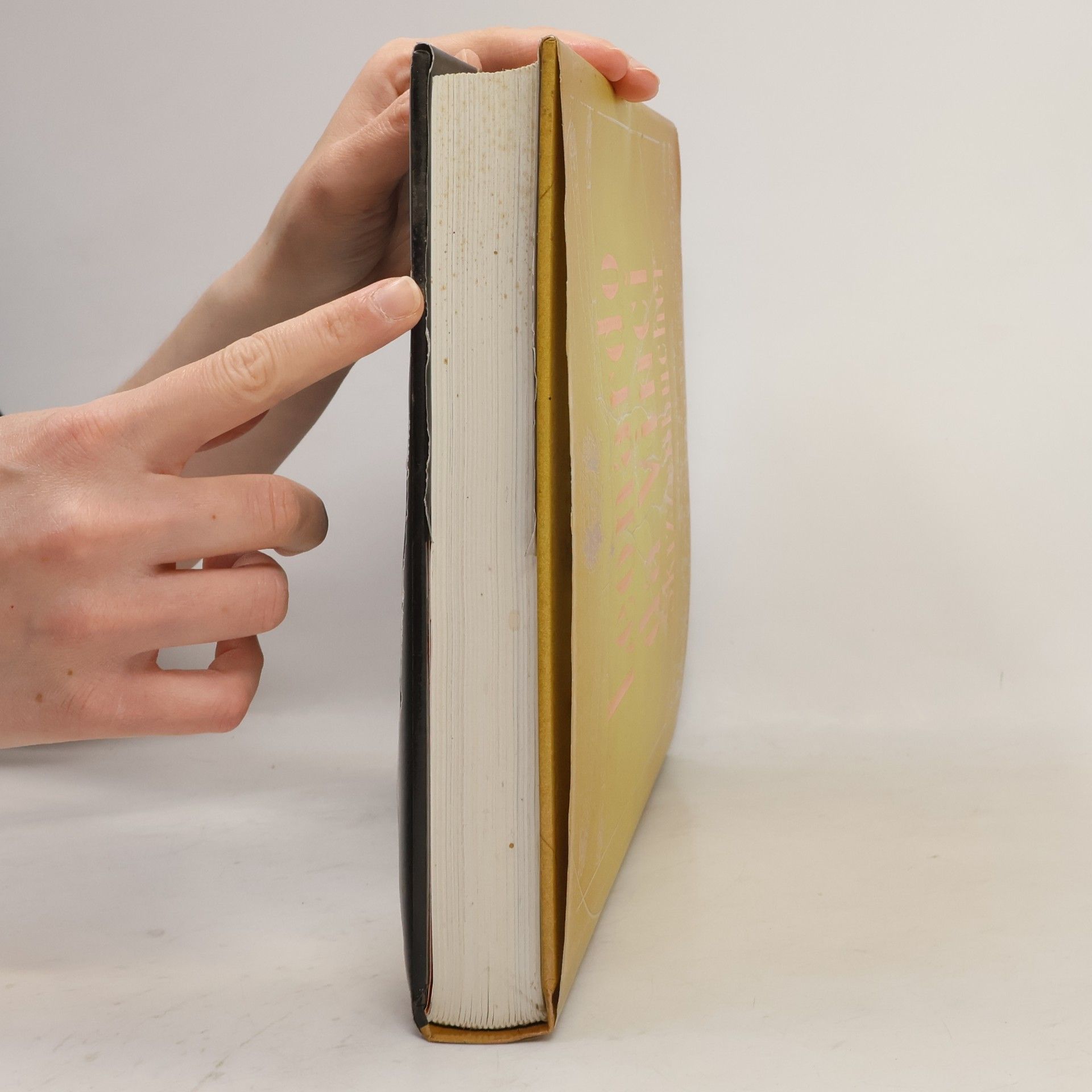 Leonardo da Vinci Skizzenbücher