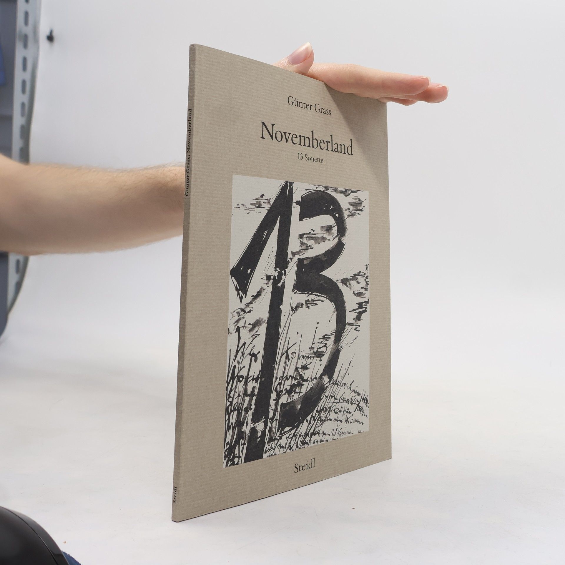 Günter Grass Novemberland