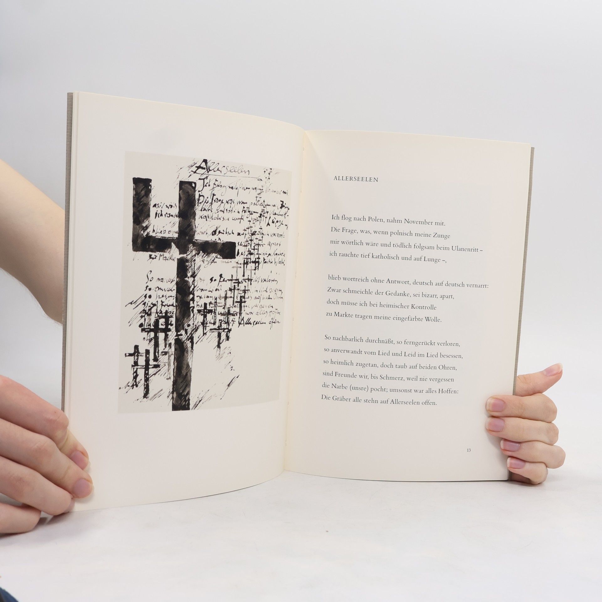 Günter Grass Novemberland