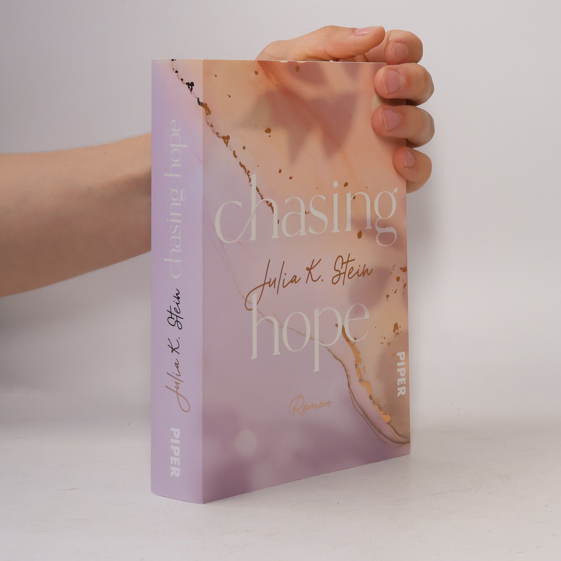 Julia K. Stein Chasing Hope