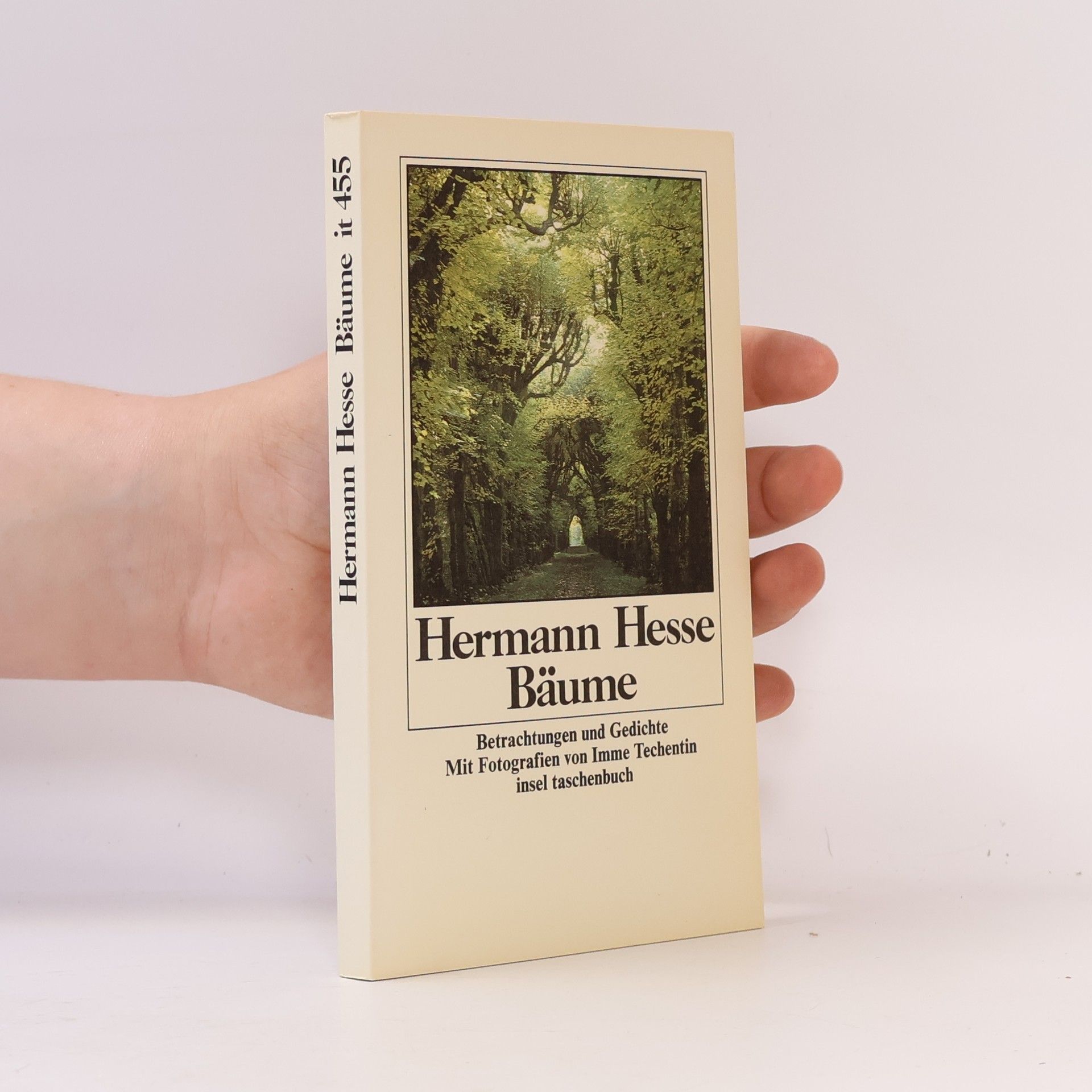 Hermann Hesse Bäume