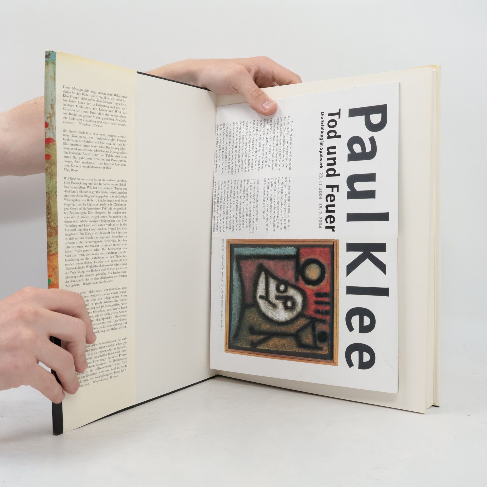 Will Grohmann Der Maler Paul Klee