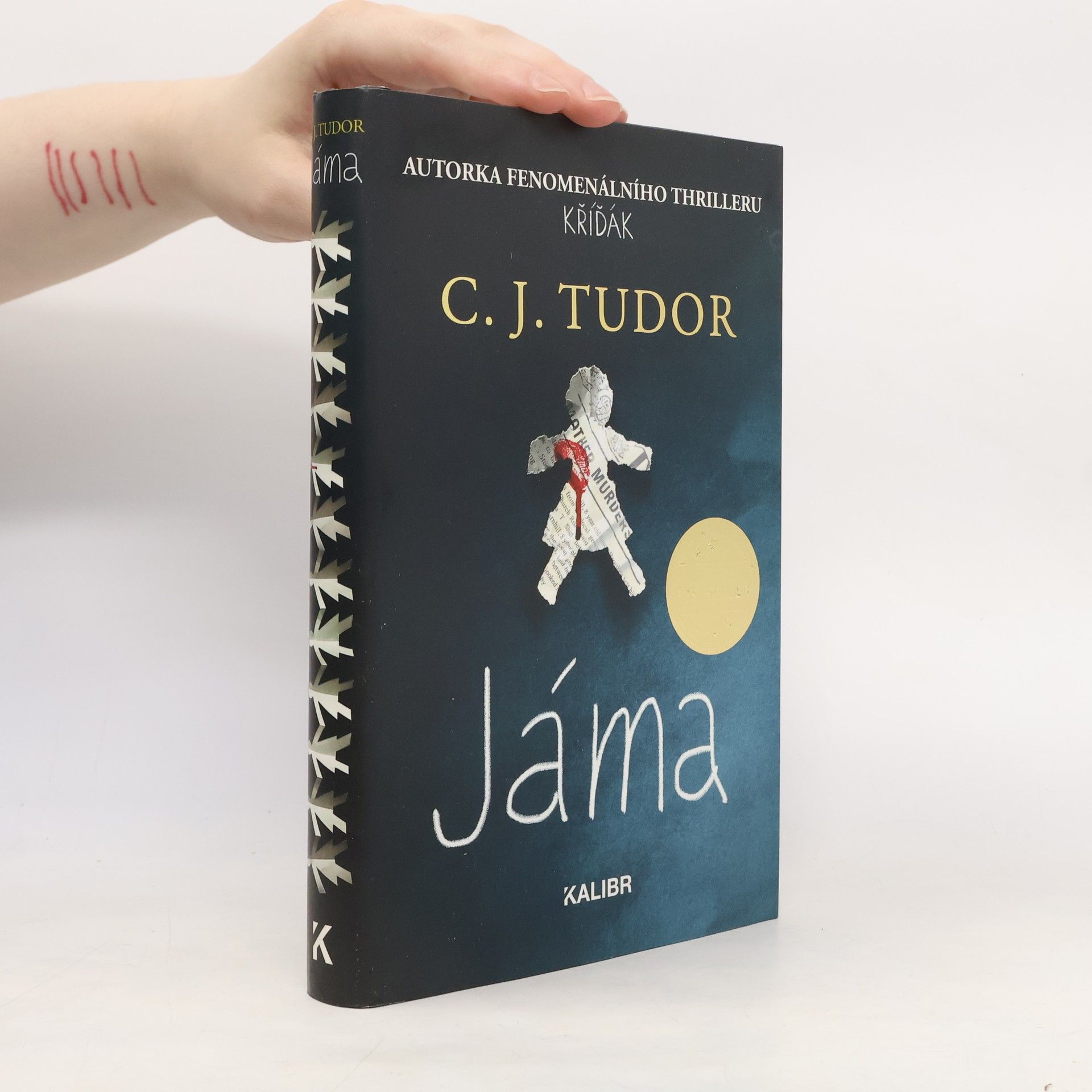 C.J. Tudor Jáma