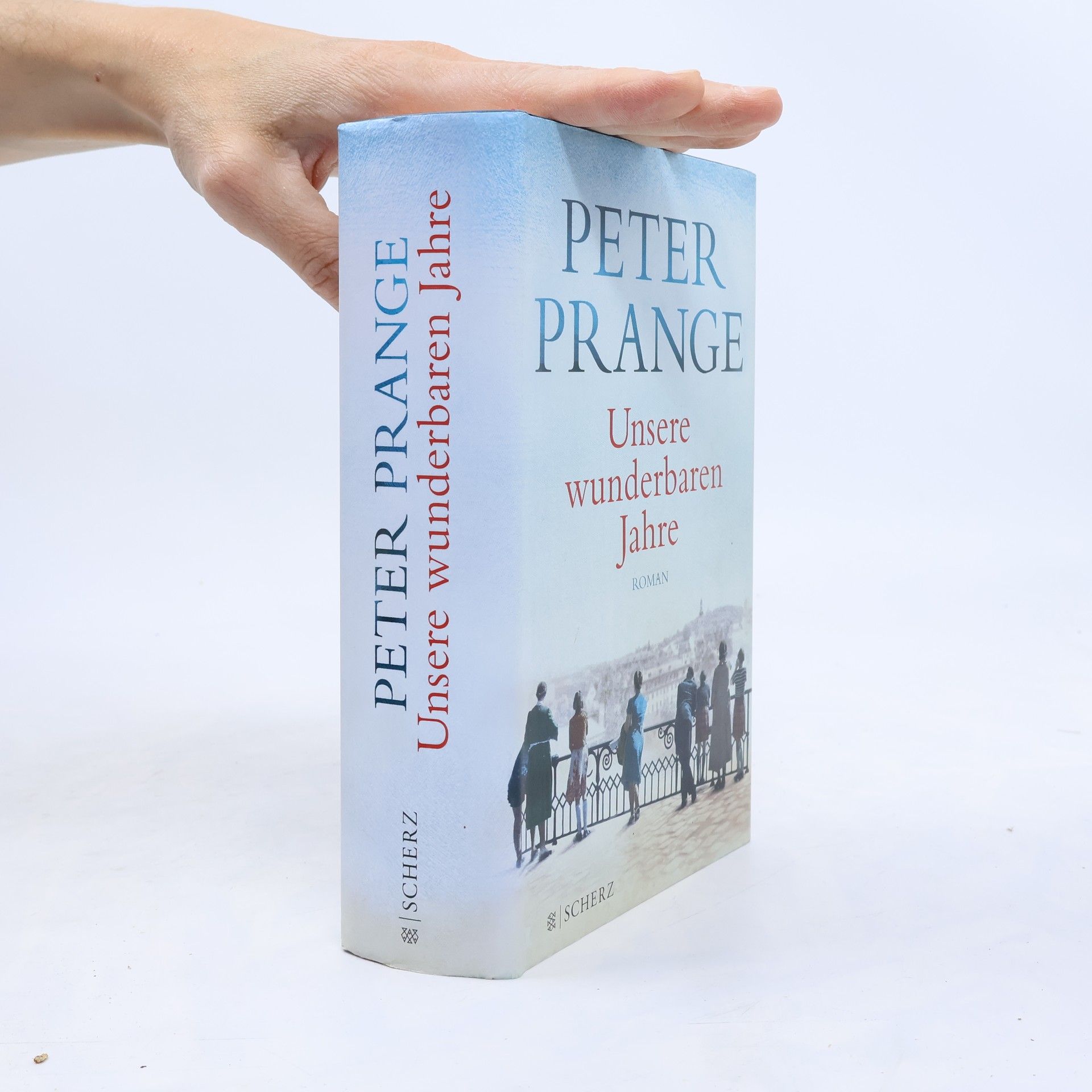 Peter Prange Unsere wunderbaren Jahre