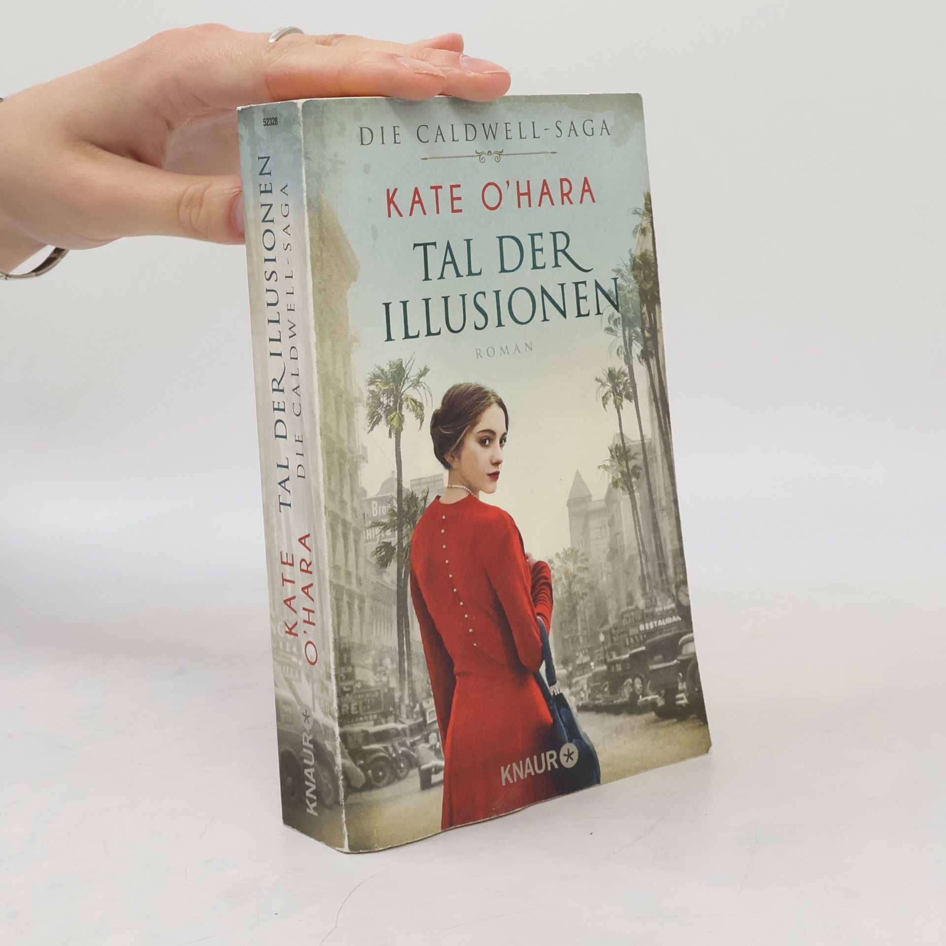 Kai Lippens Tal der Illusionen
