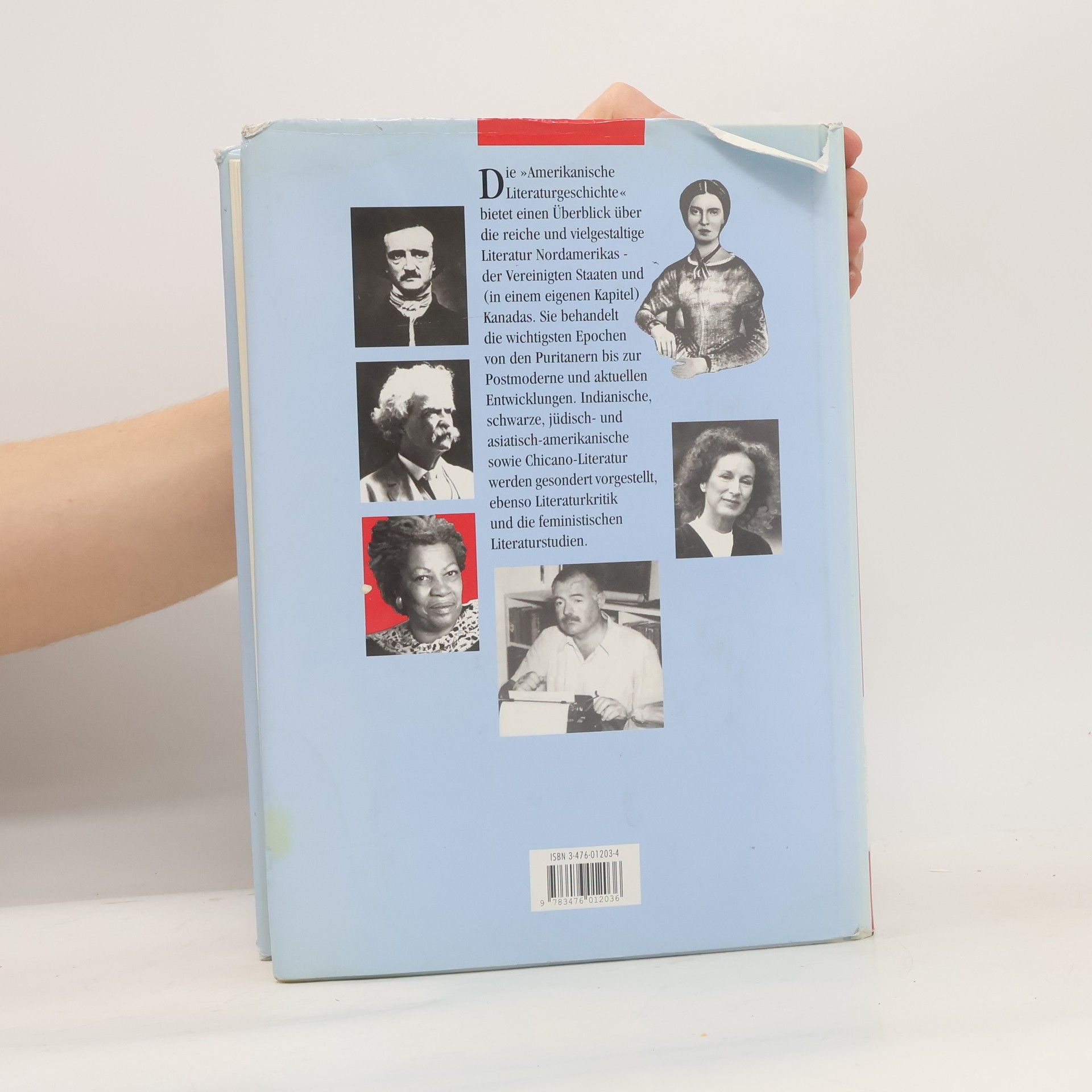 Helmbrecht Breinig Amerikanische Literaturgeschichte