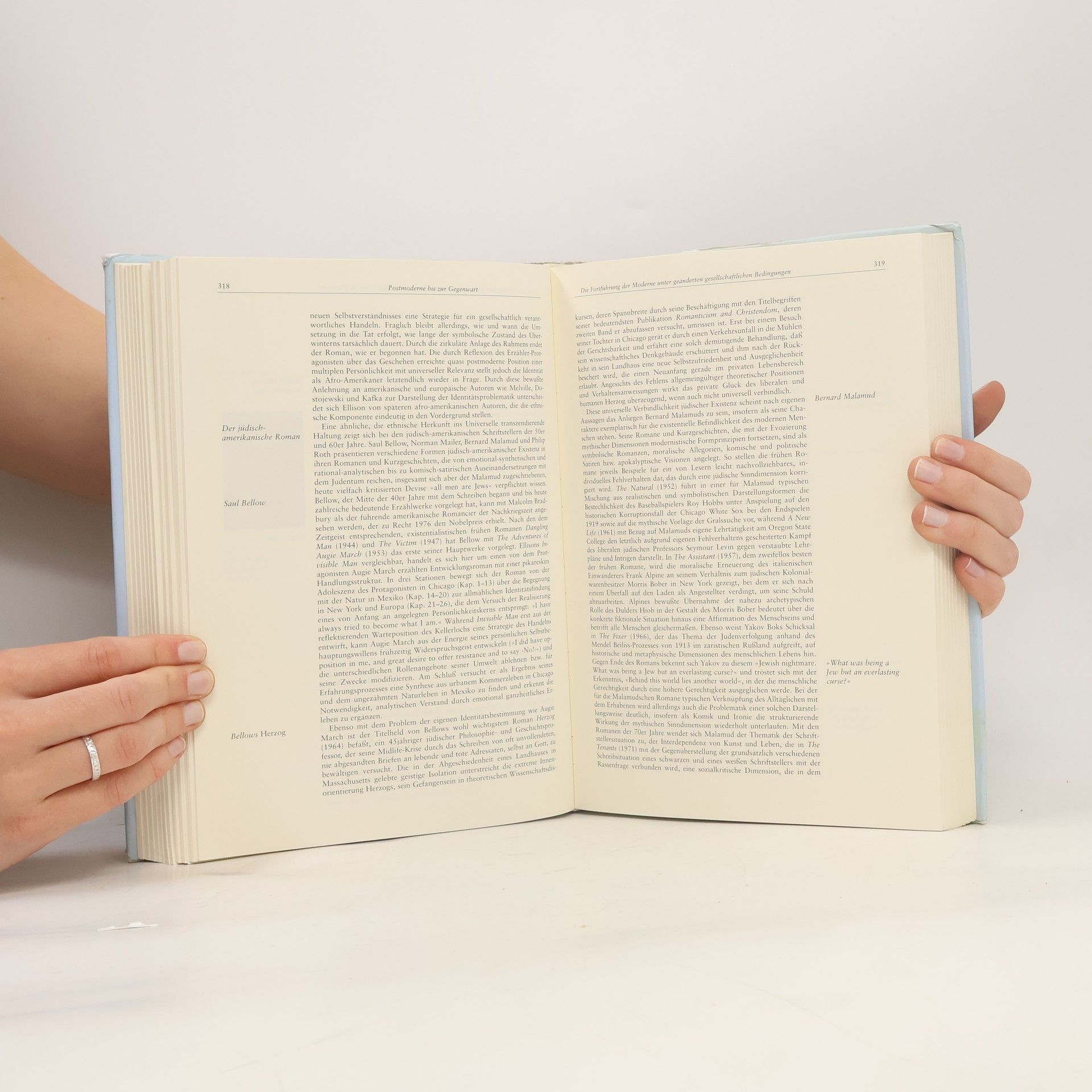 Helmbrecht Breinig Amerikanische Literaturgeschichte