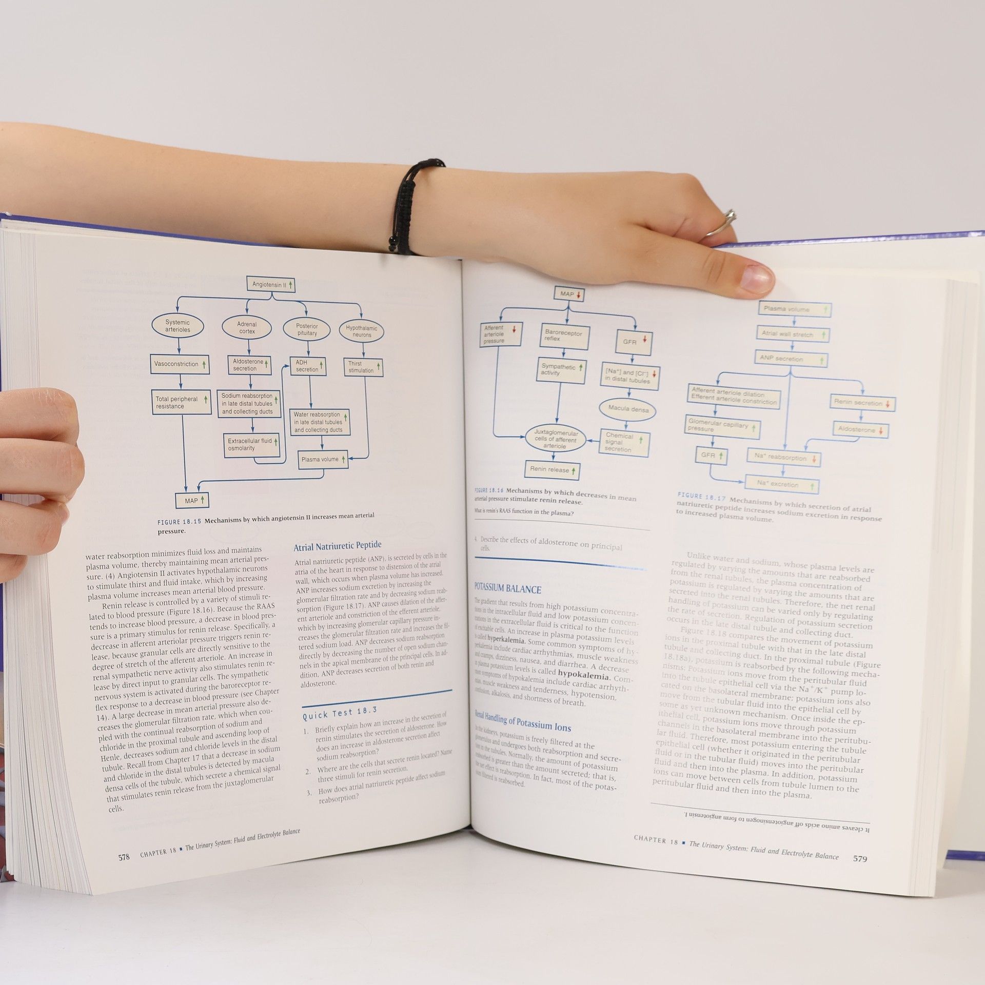 William J. Germann Principles of Human Physiology