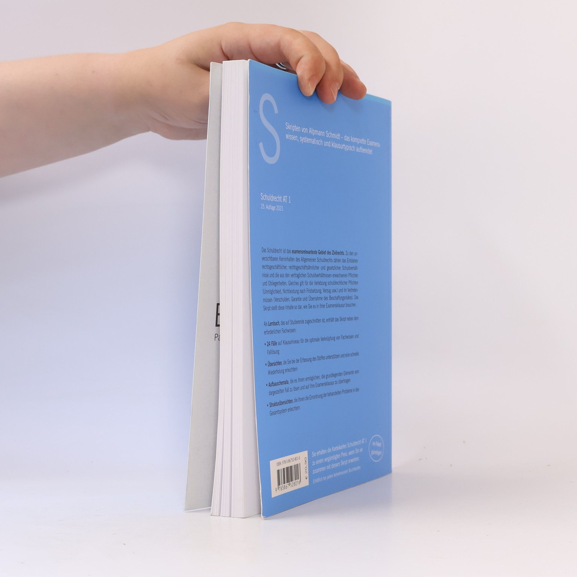 Tobias Langkamp Skript Schuldrecht AT 1